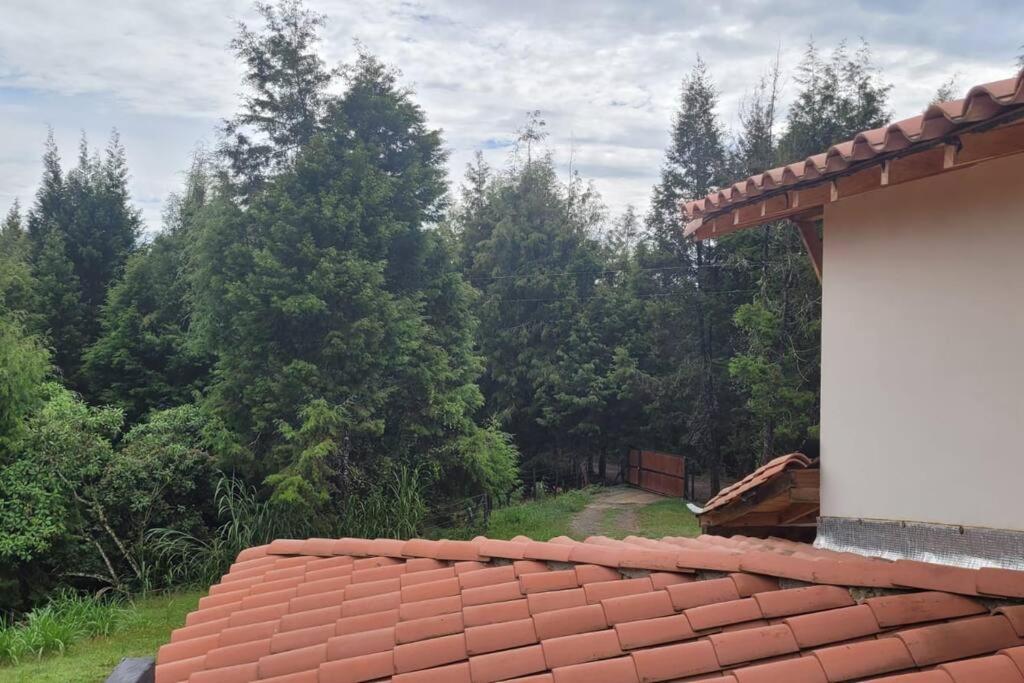 Finca La Consentida