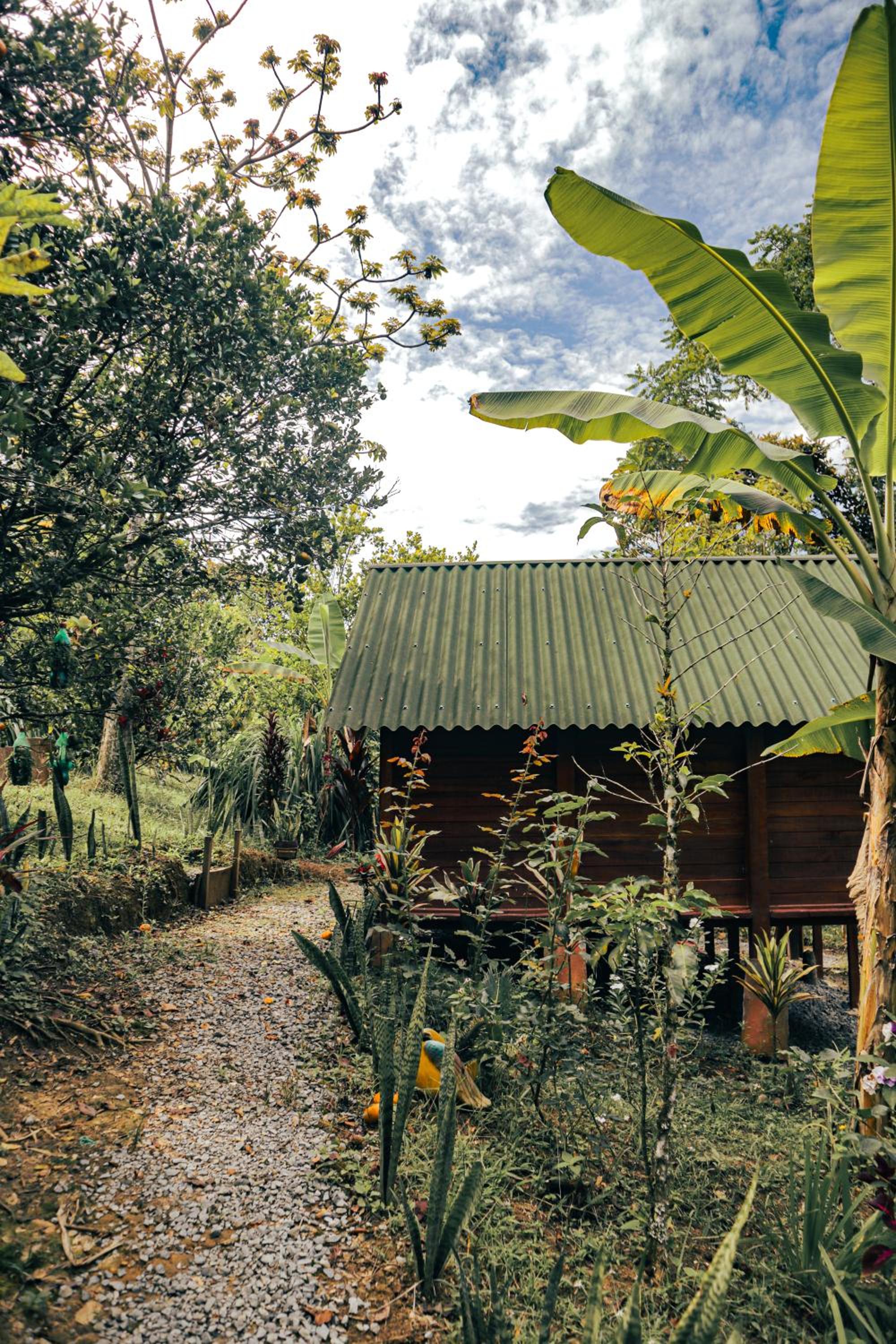 Jardin del Sol Ecoglamping SAS view 5