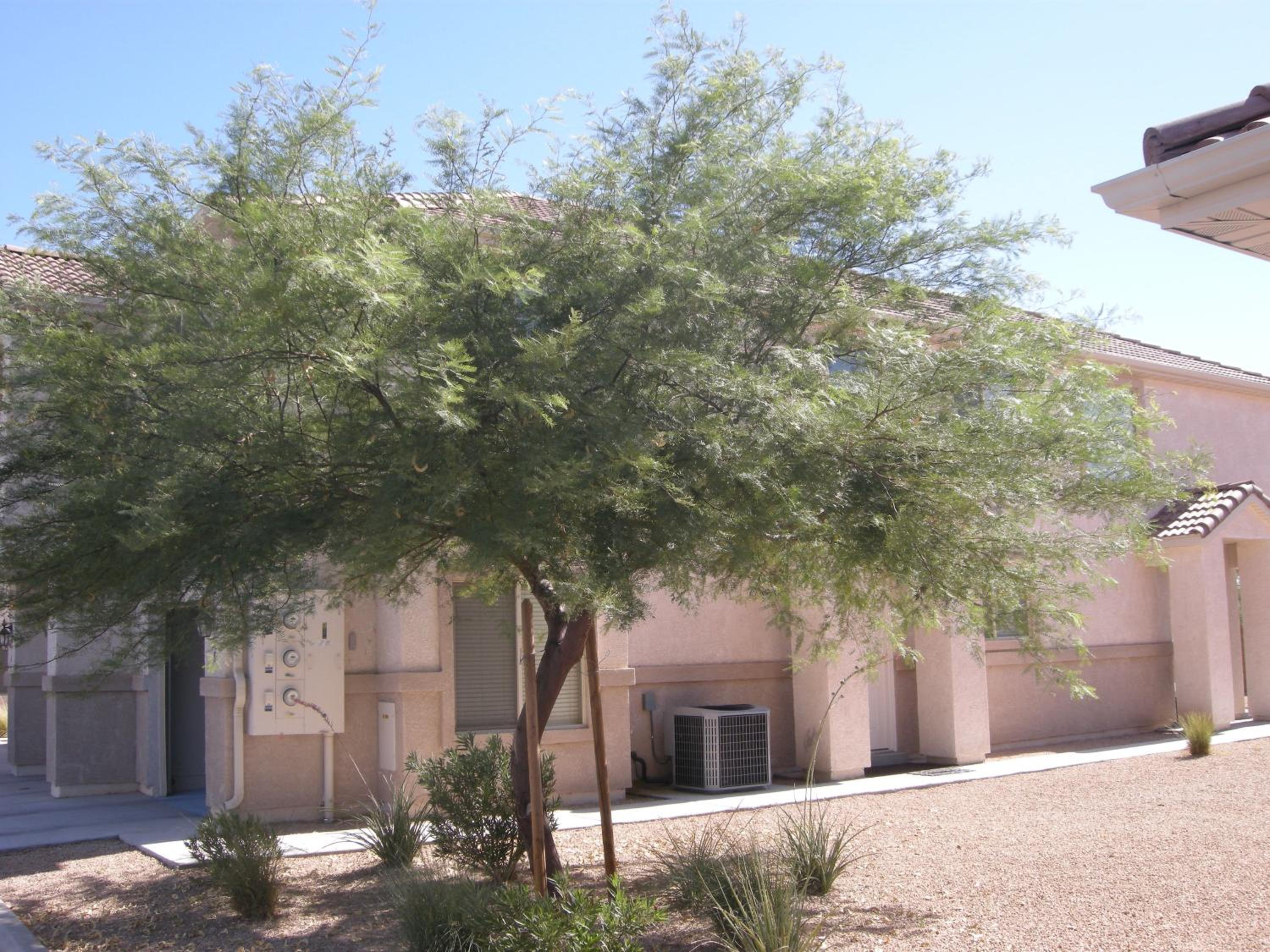 Nevada Mesquite Vacation Rentals - Property Image 5