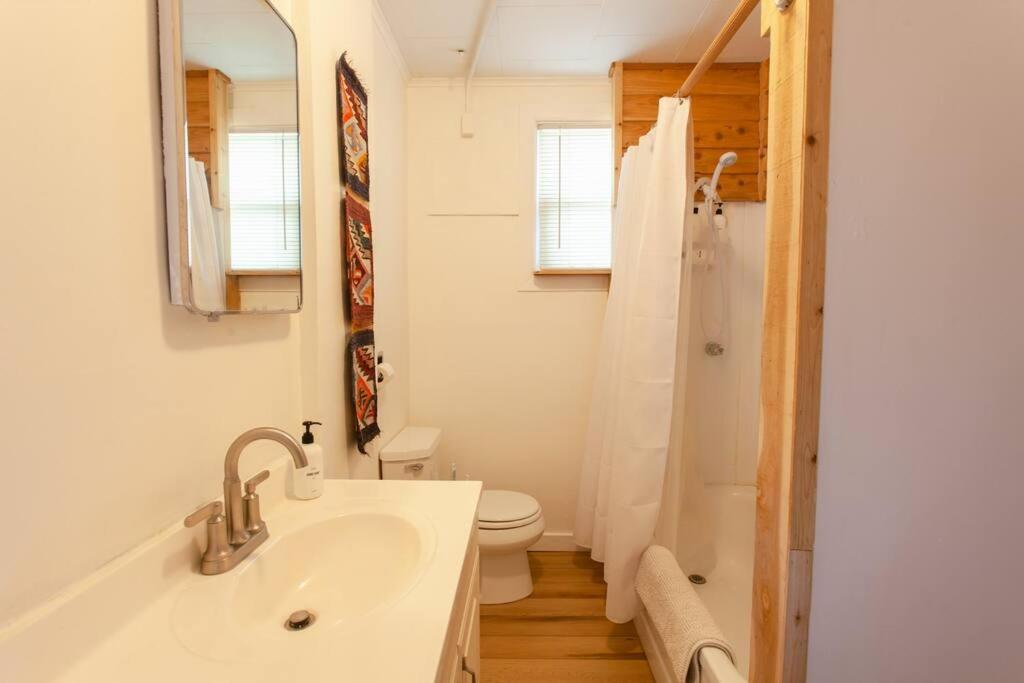 Photo 41