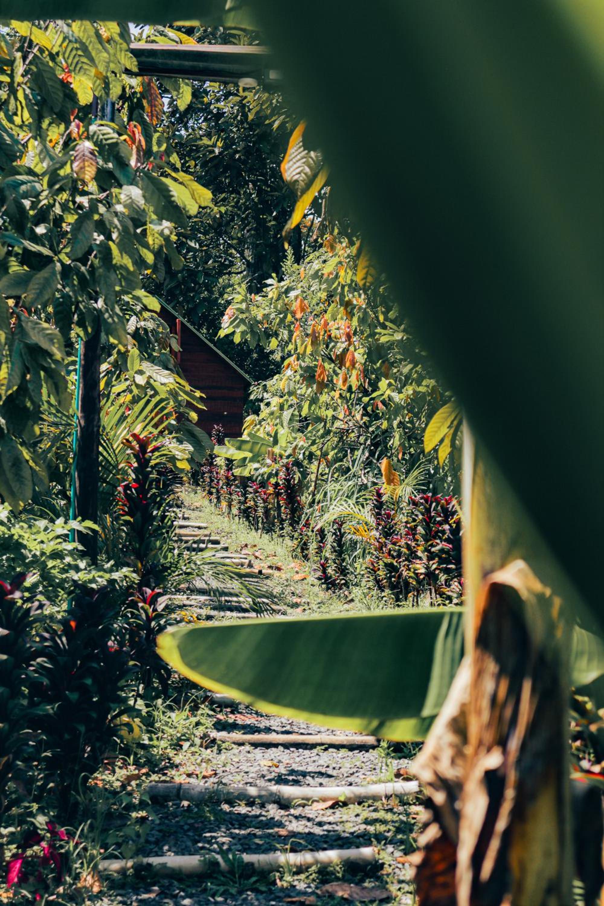 Jardin del Sol Ecoglamping SAS view 3