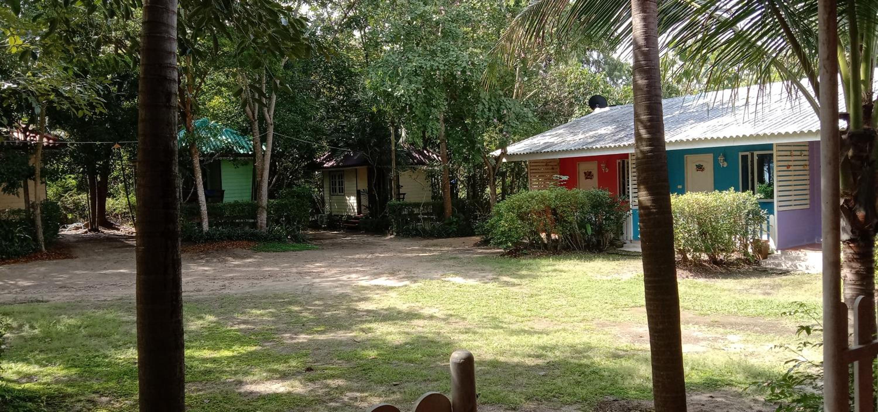 Photo 16