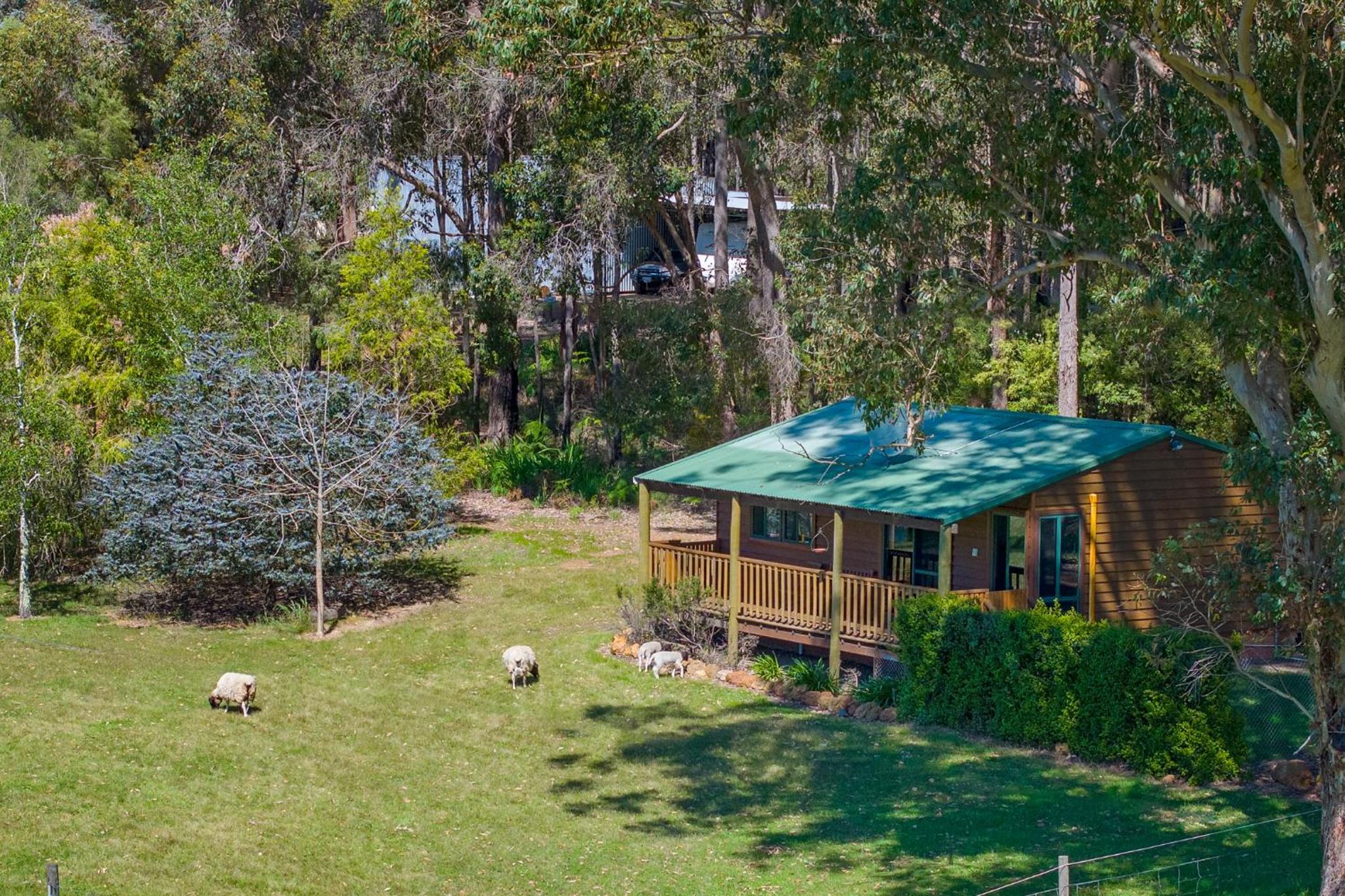 Diamond Forest Farm Stay