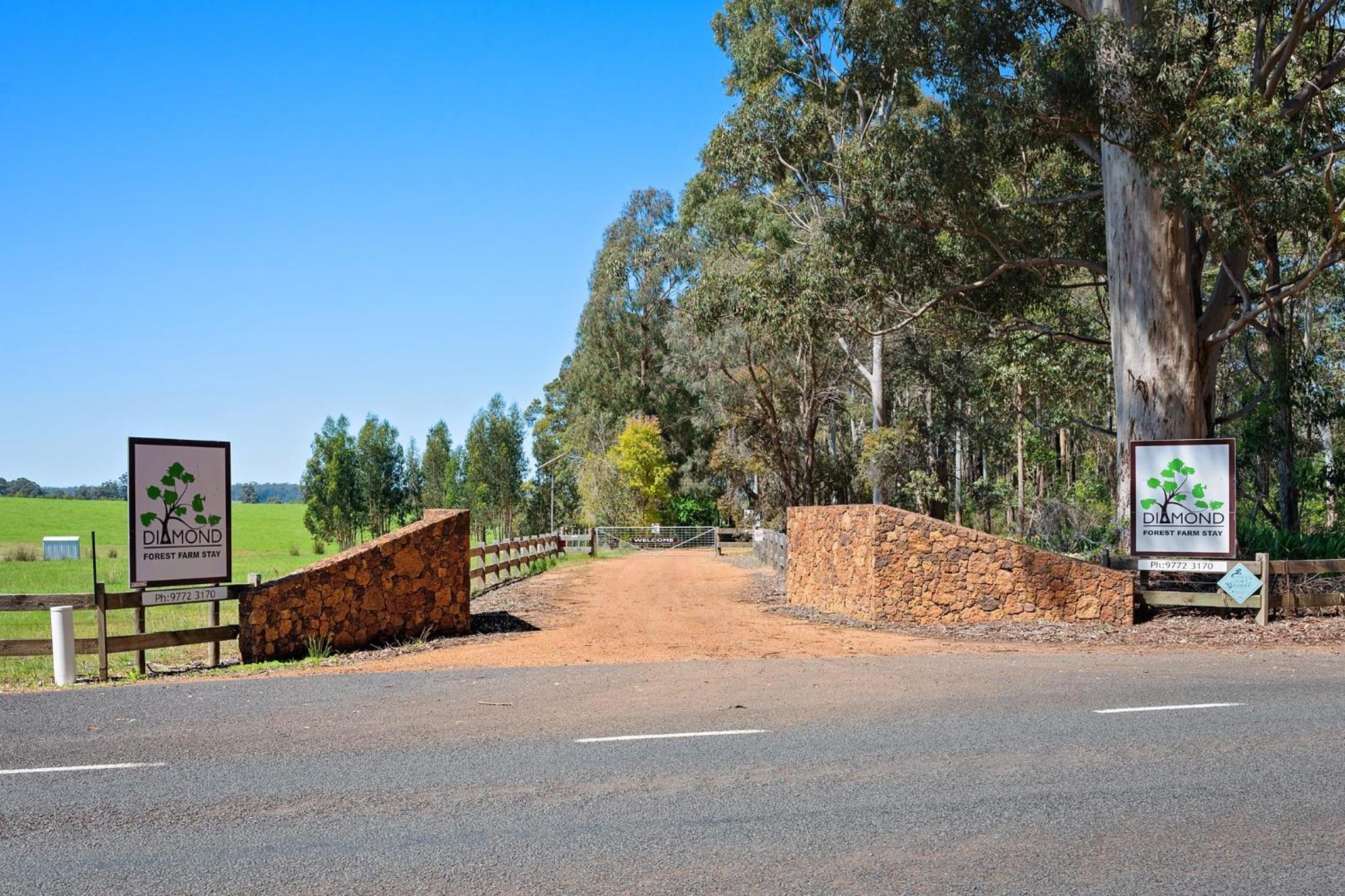 Diamond Forest Farm Stay