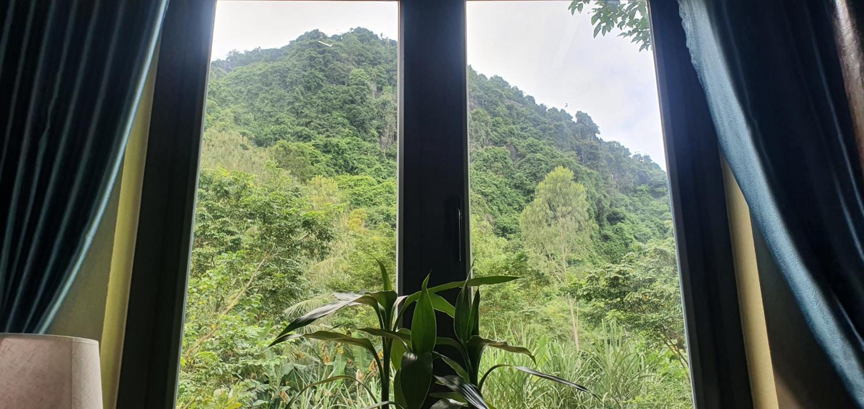 Tam's Homestay