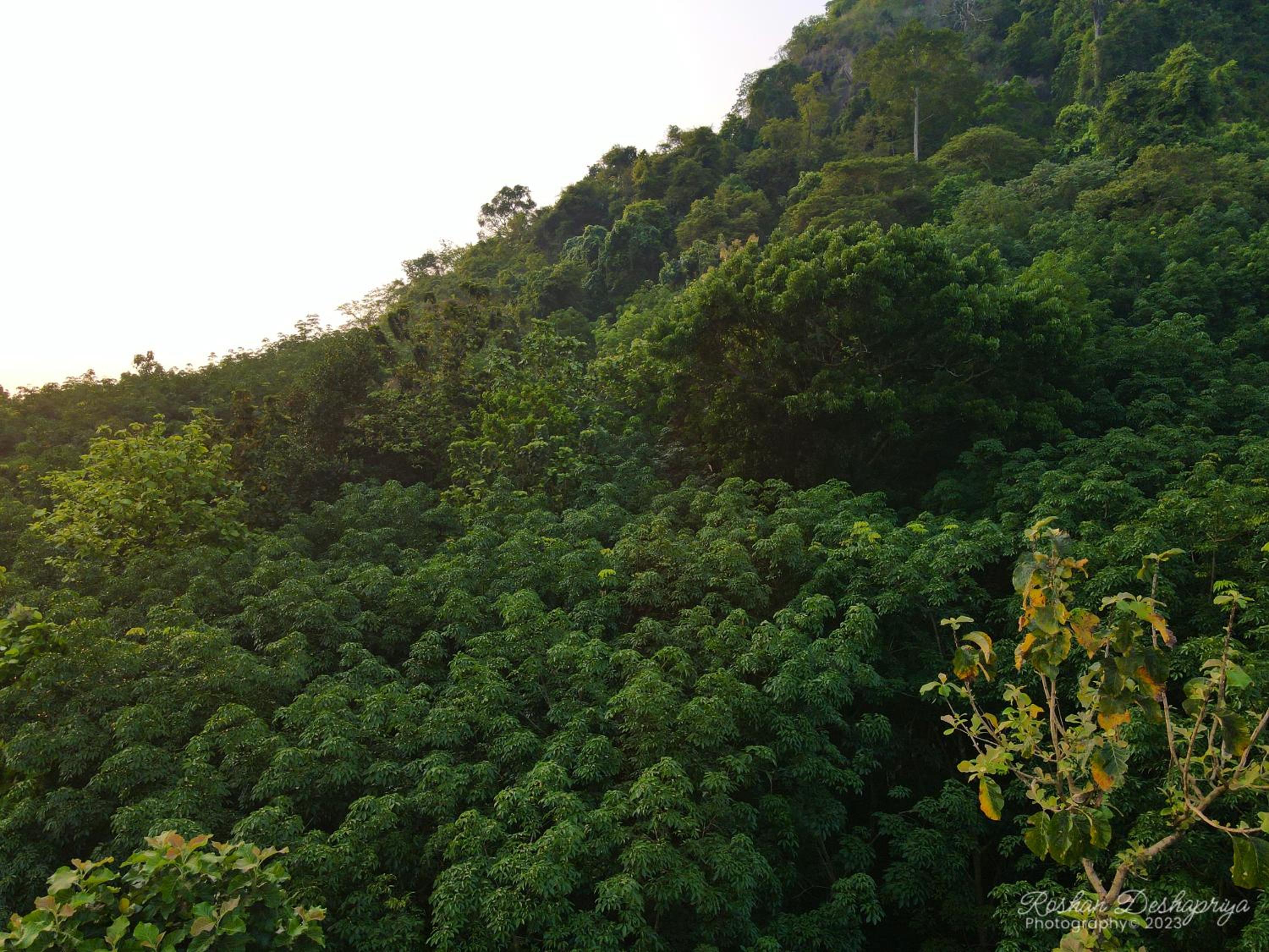 Kakulanda Resort