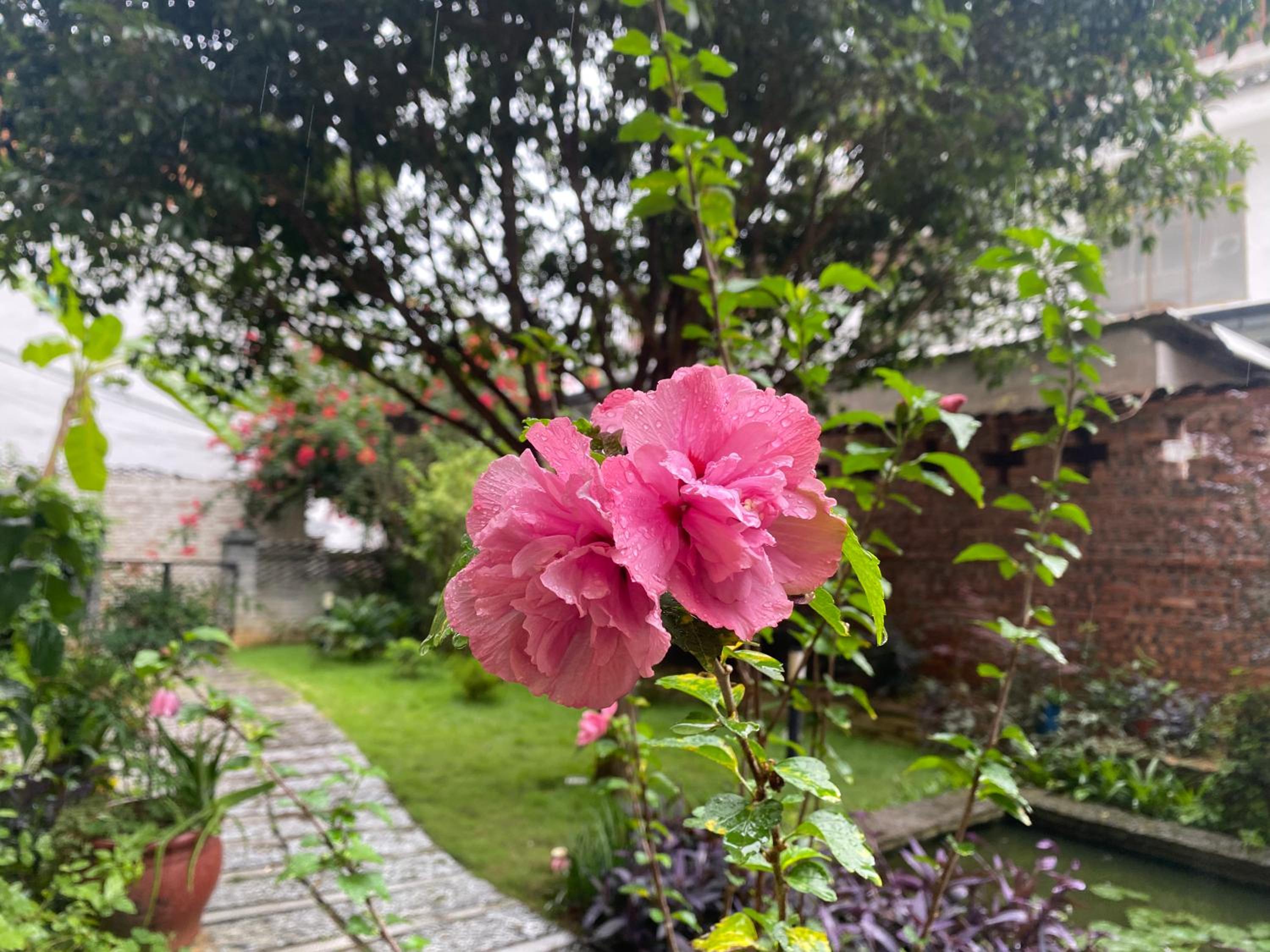 Yangshuo Eden's Social Guesthouse - Wake up to a hearty Western breakfast & fresh craft coffee & night beers & outdoor activities