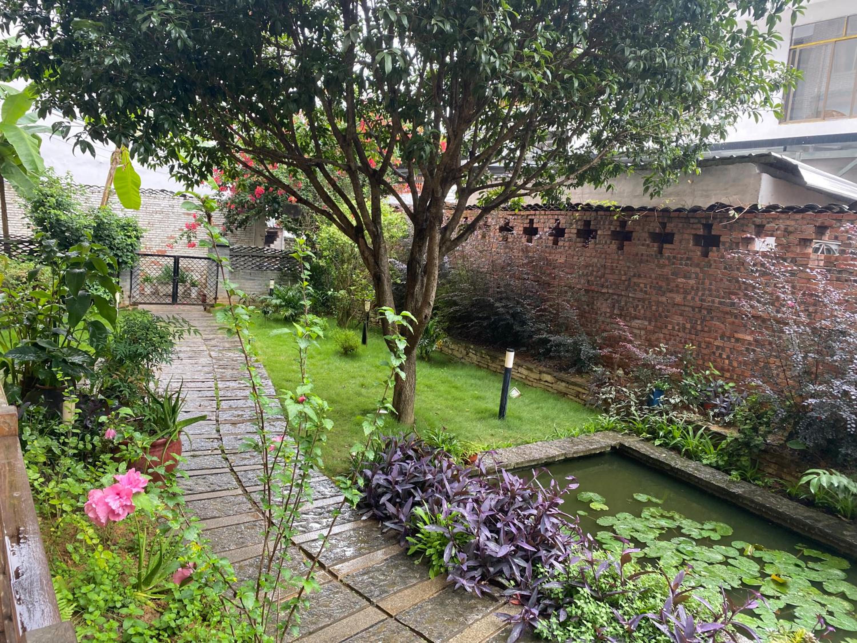 Yangshuo Eden's Social Guesthouse - Wake up to a hearty Western breakfast & fresh craft coffee & night beers & outdoor activities