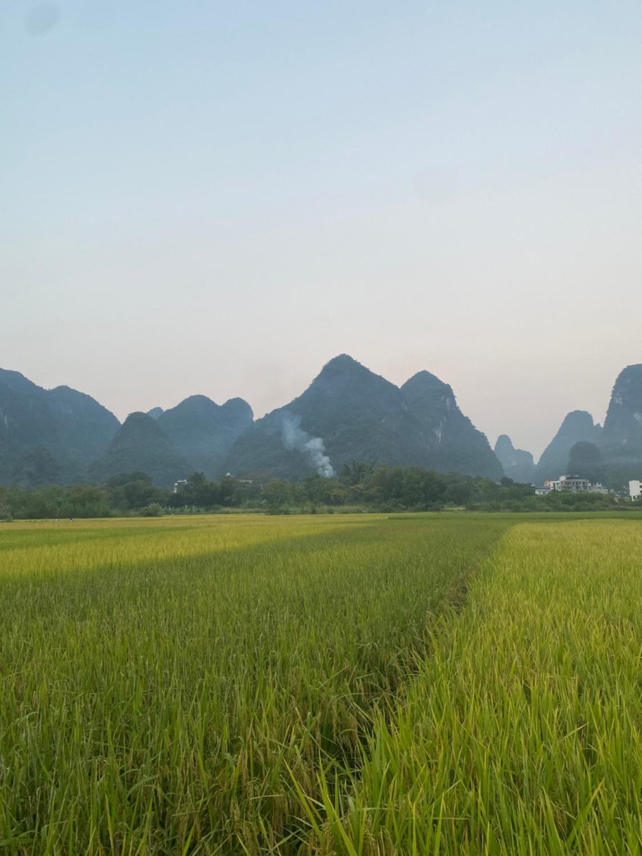 Yangshuo Eden's Social Guesthouse - Wake up to a hearty Western breakfast & fresh craft coffee & night beers & outdoor activities