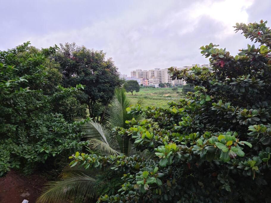 Saashivnest Homestay