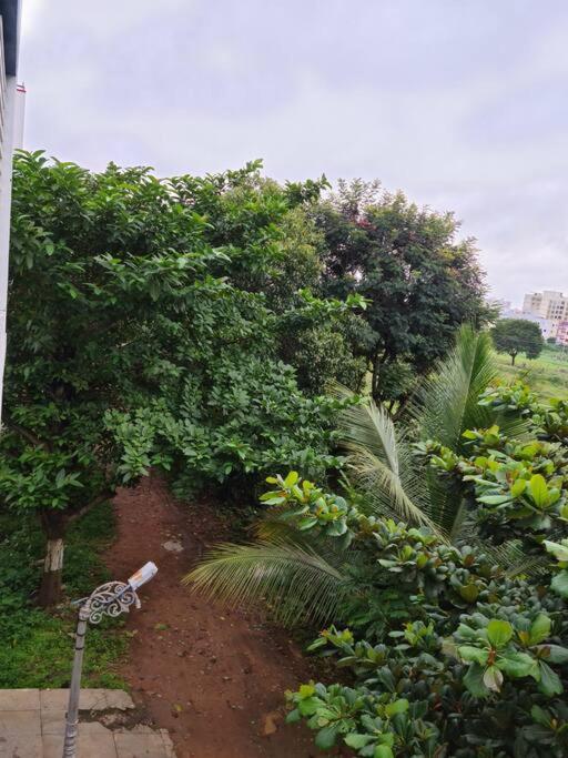 Saashivnest Homestay