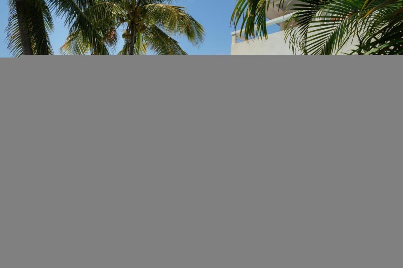 Island Time Gecko - Private Island Beachfront Villa 1 Min From Village