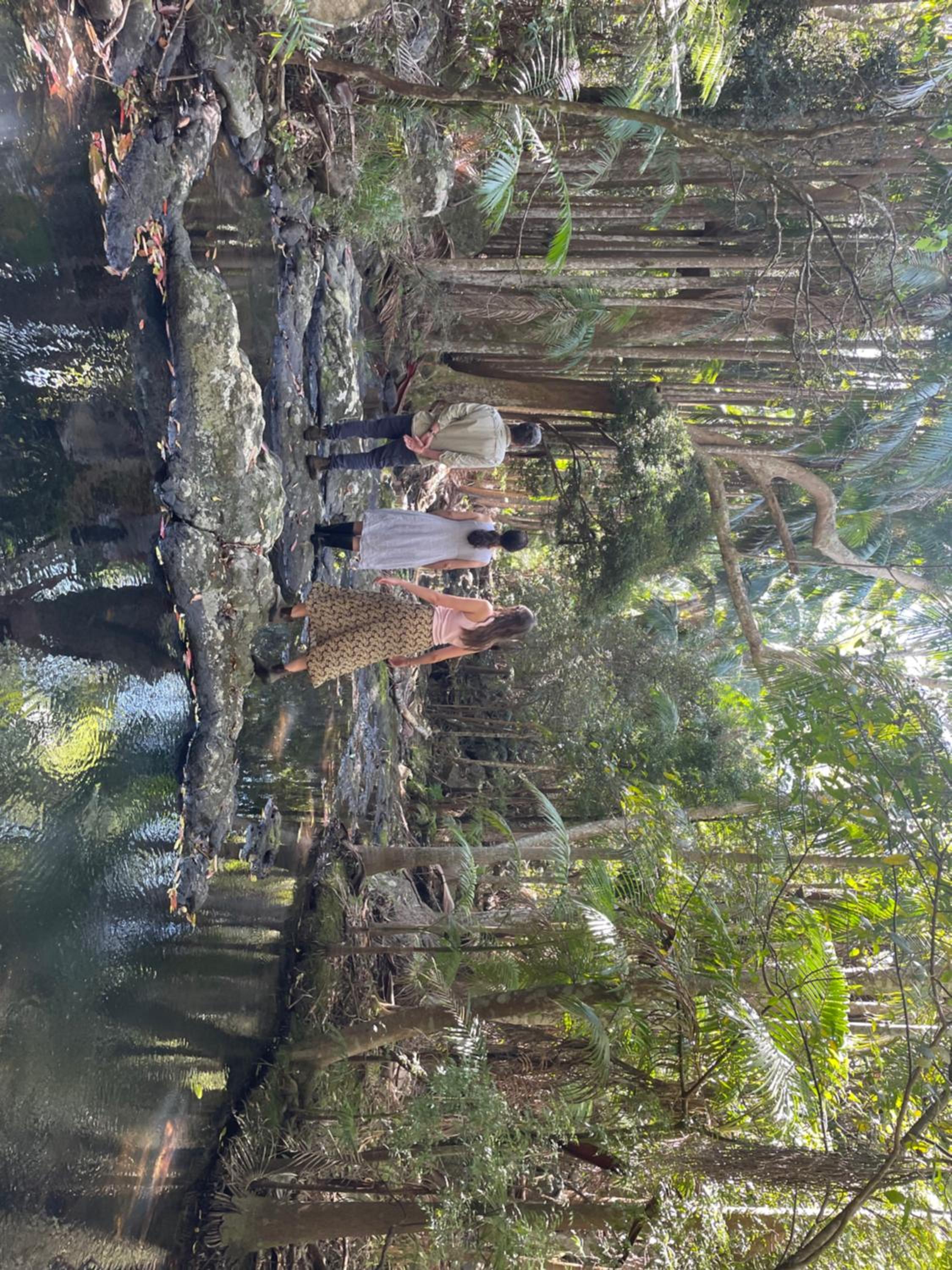 Waterfall Lodge