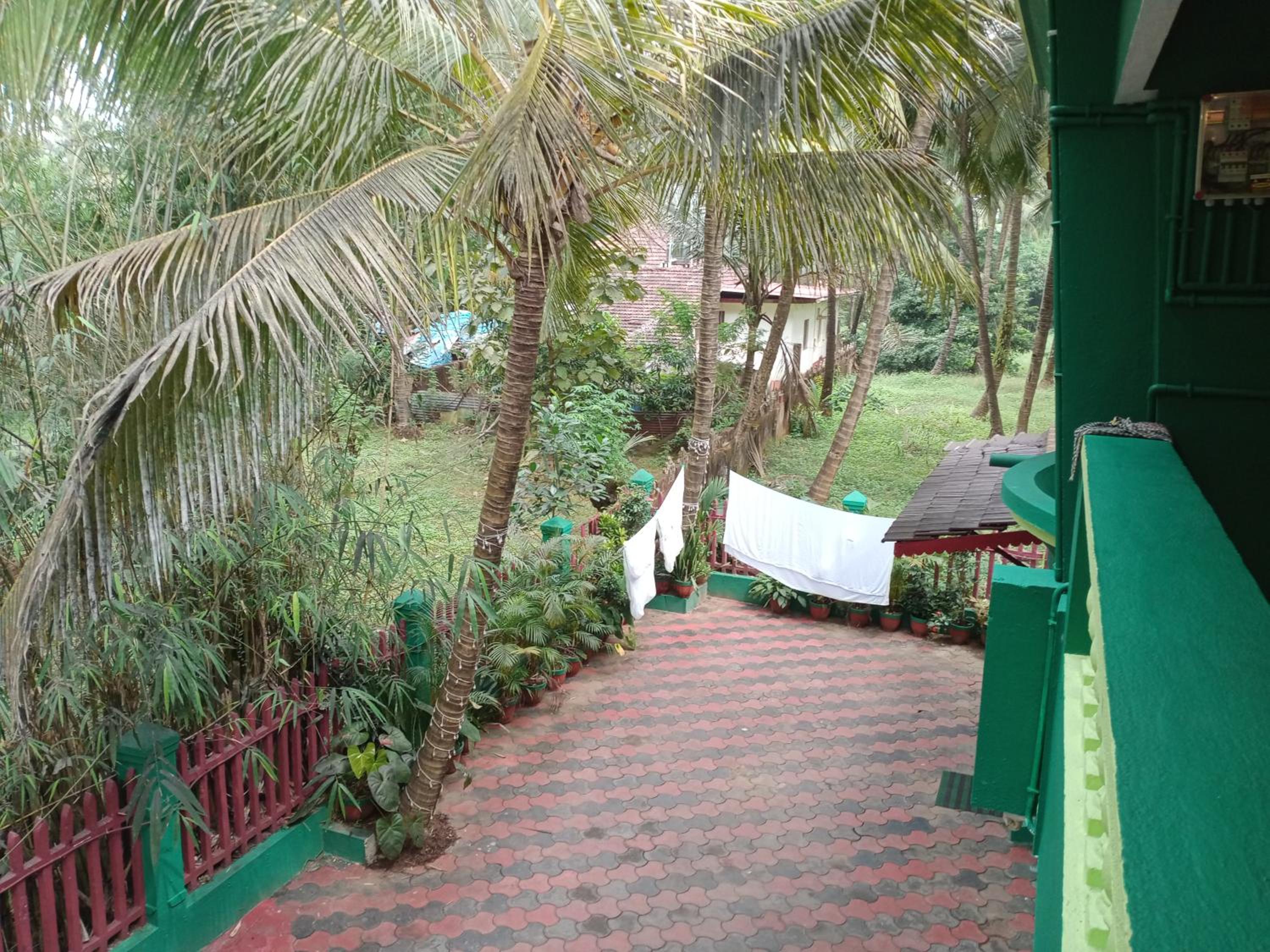 Photo 9