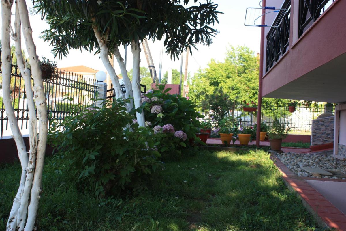 Photo 16