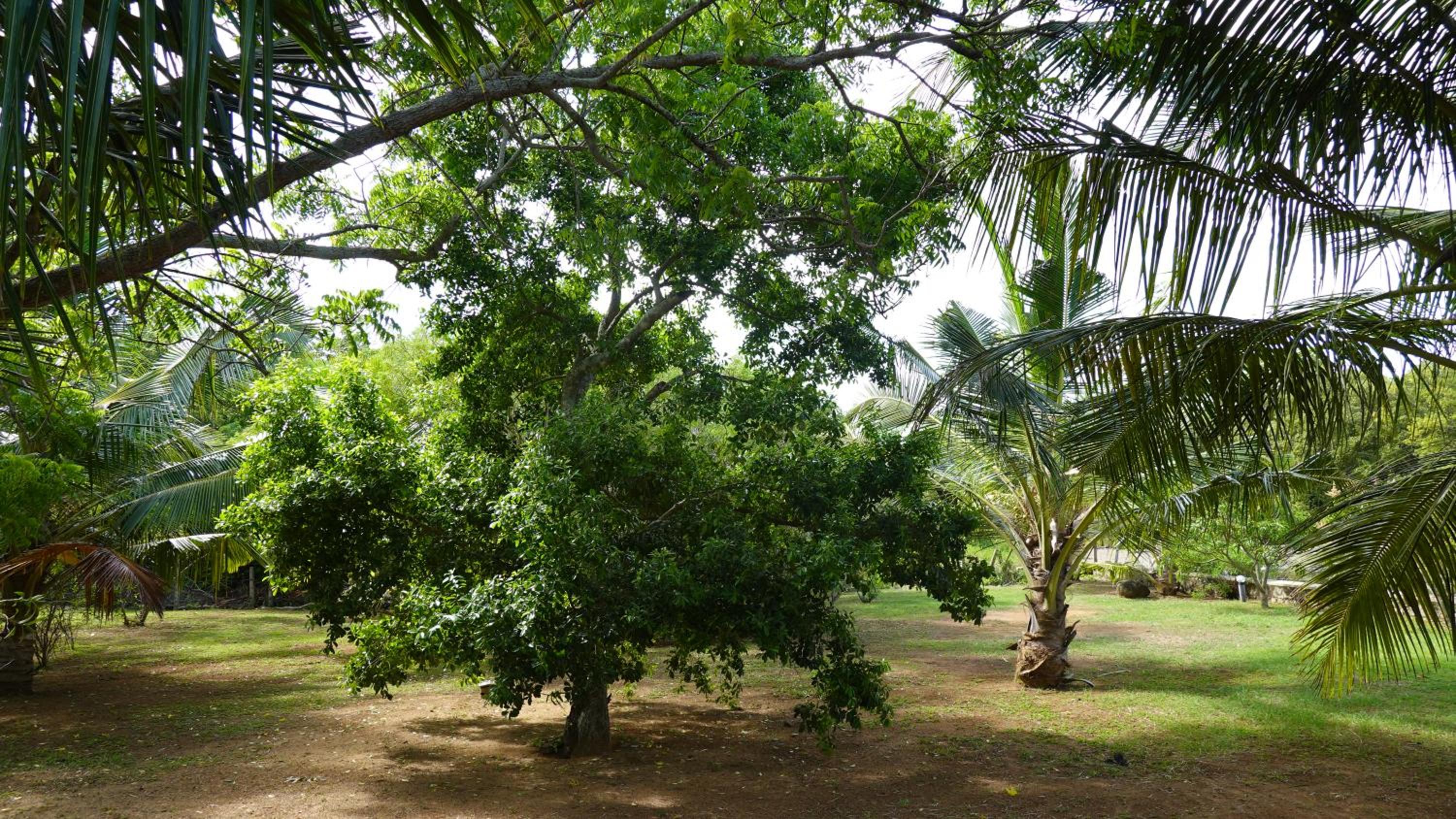 Photo 47