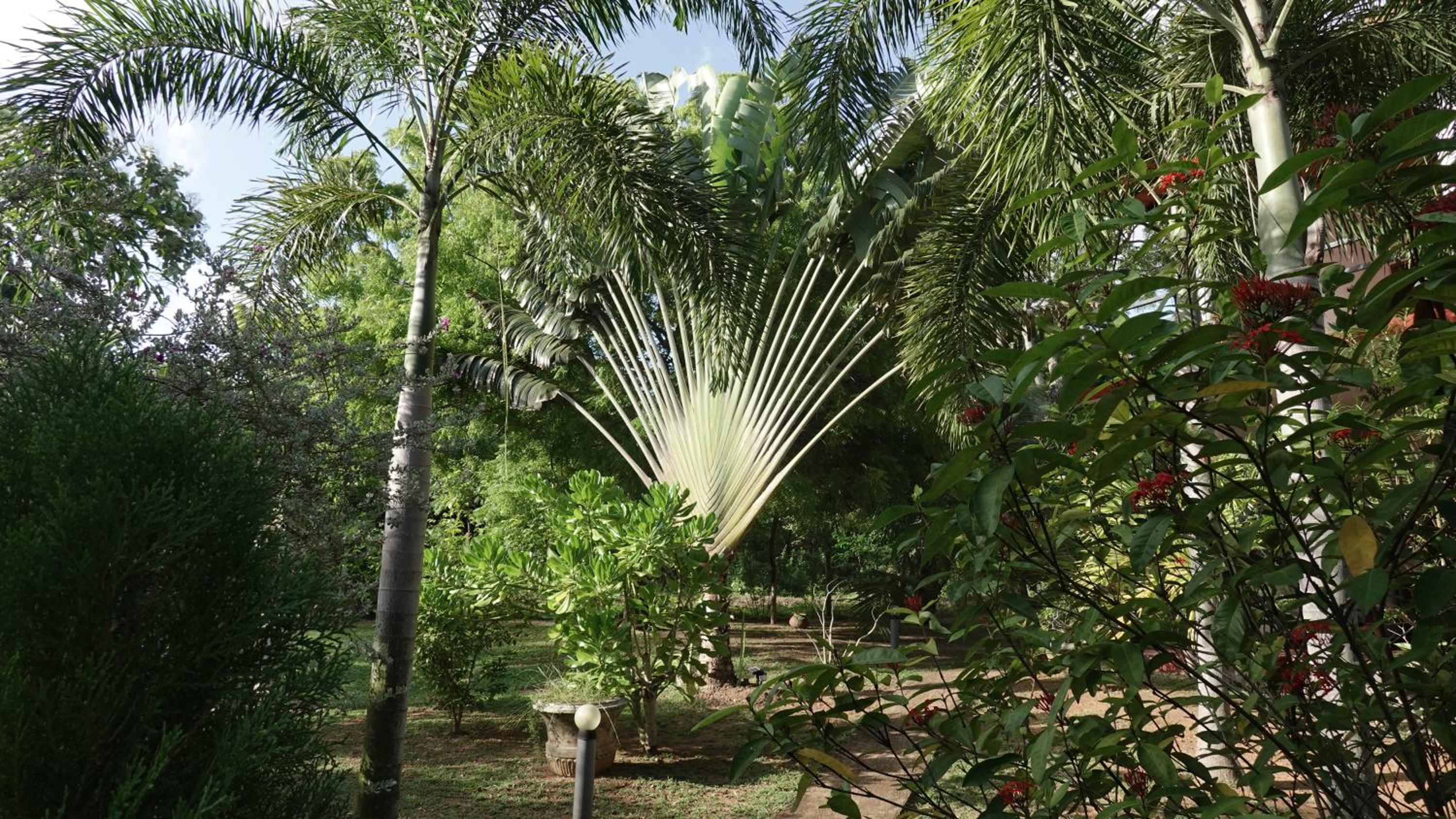 Photo 32