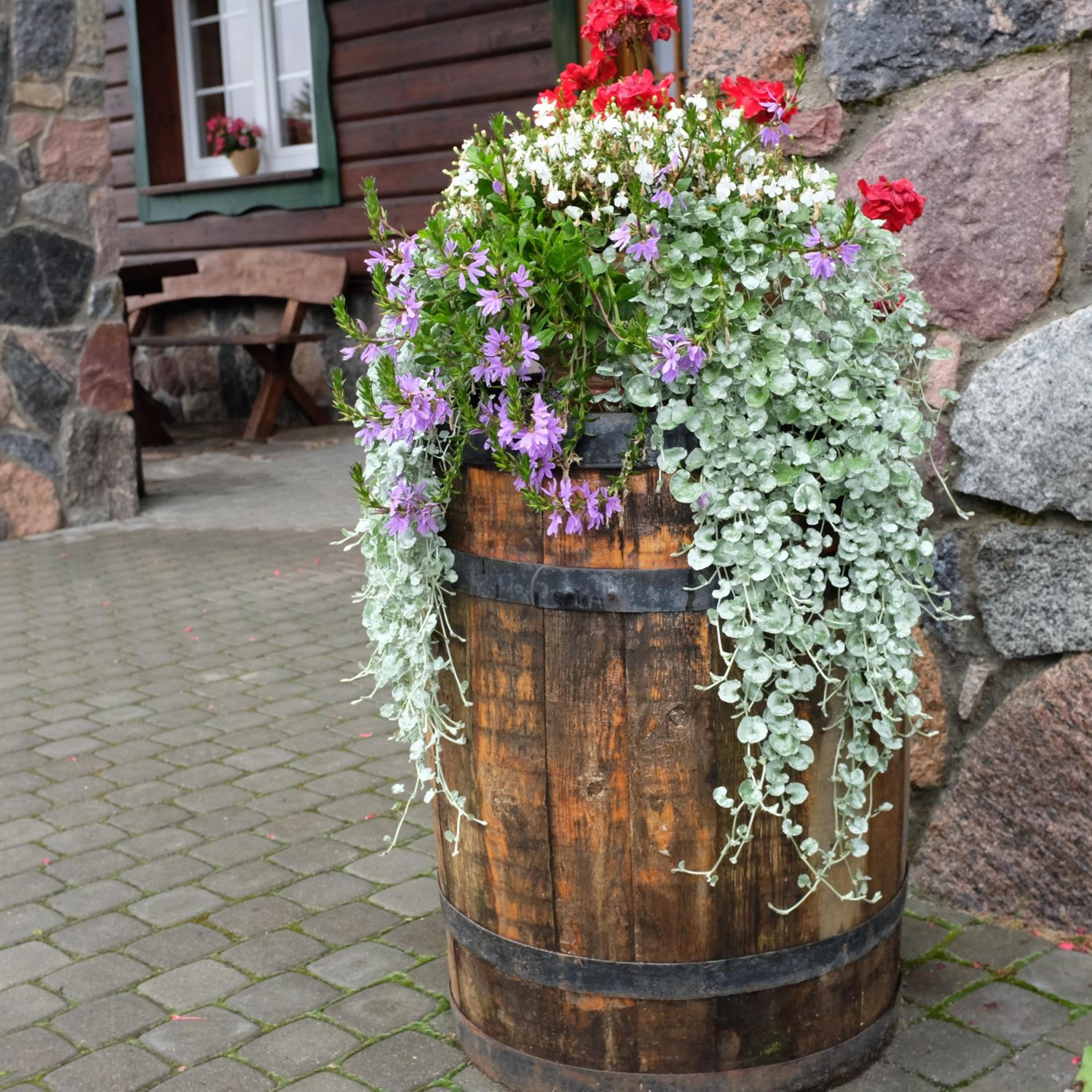 Photo 25