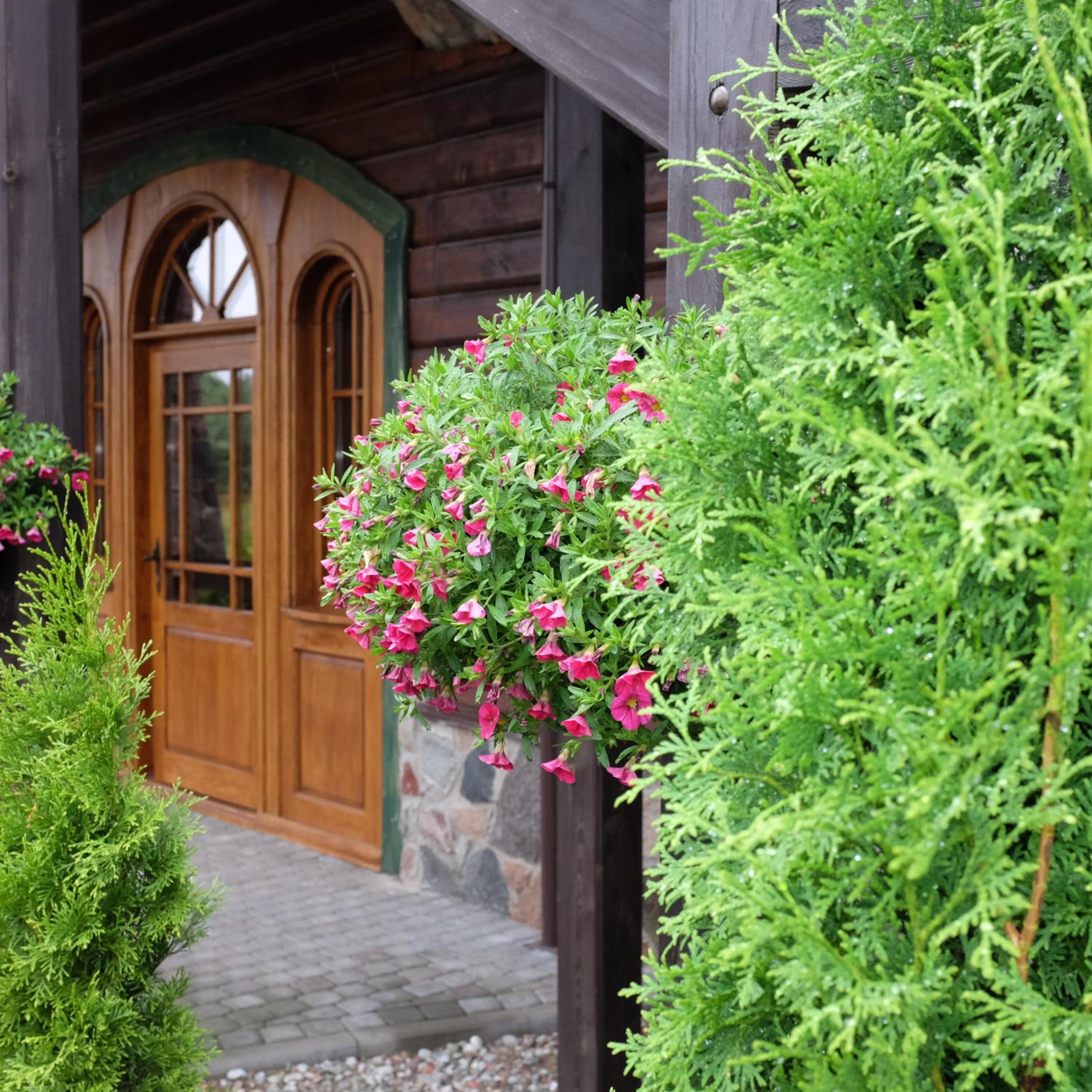 Photo 22
