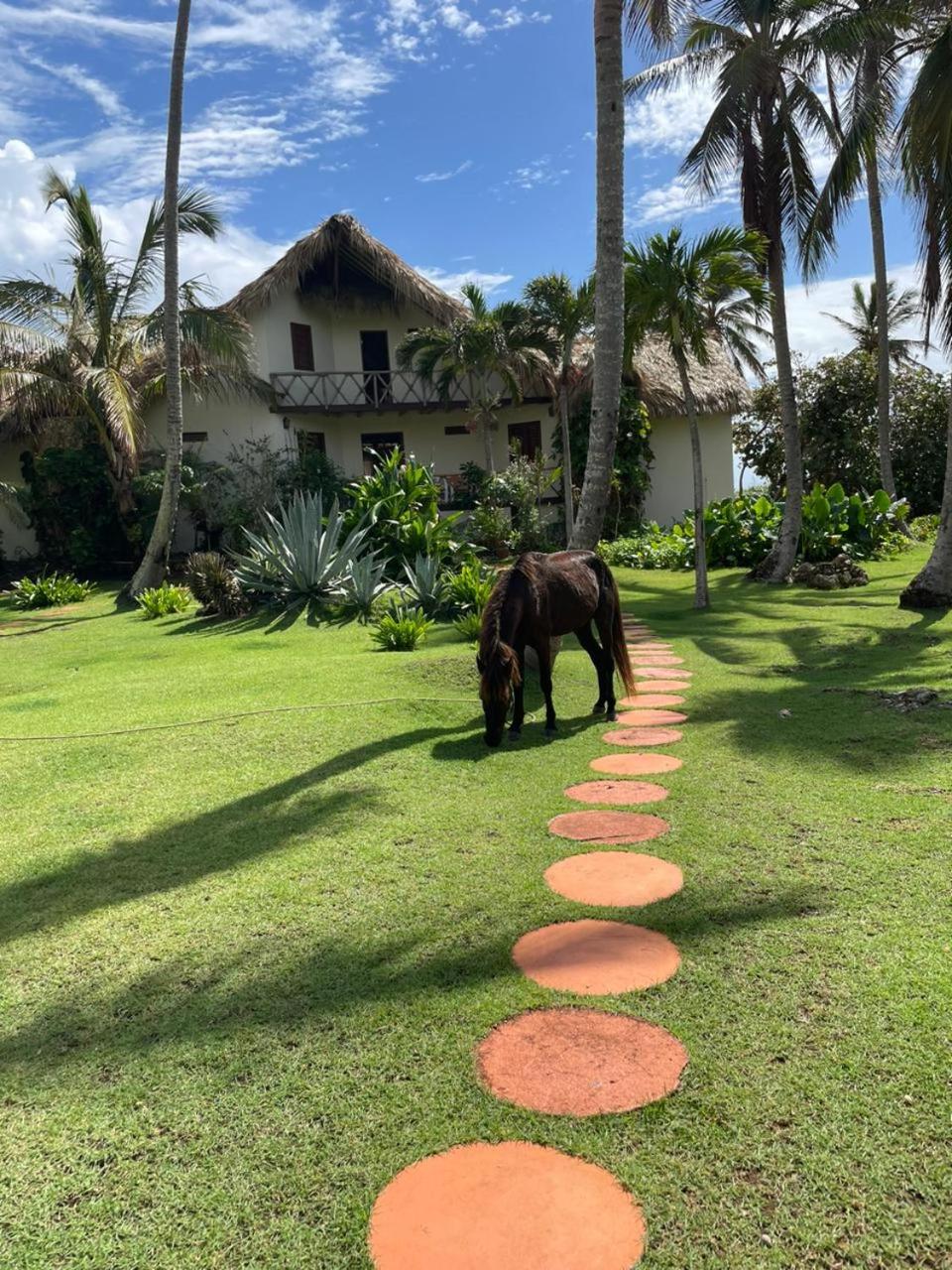 Villa Punta Coral