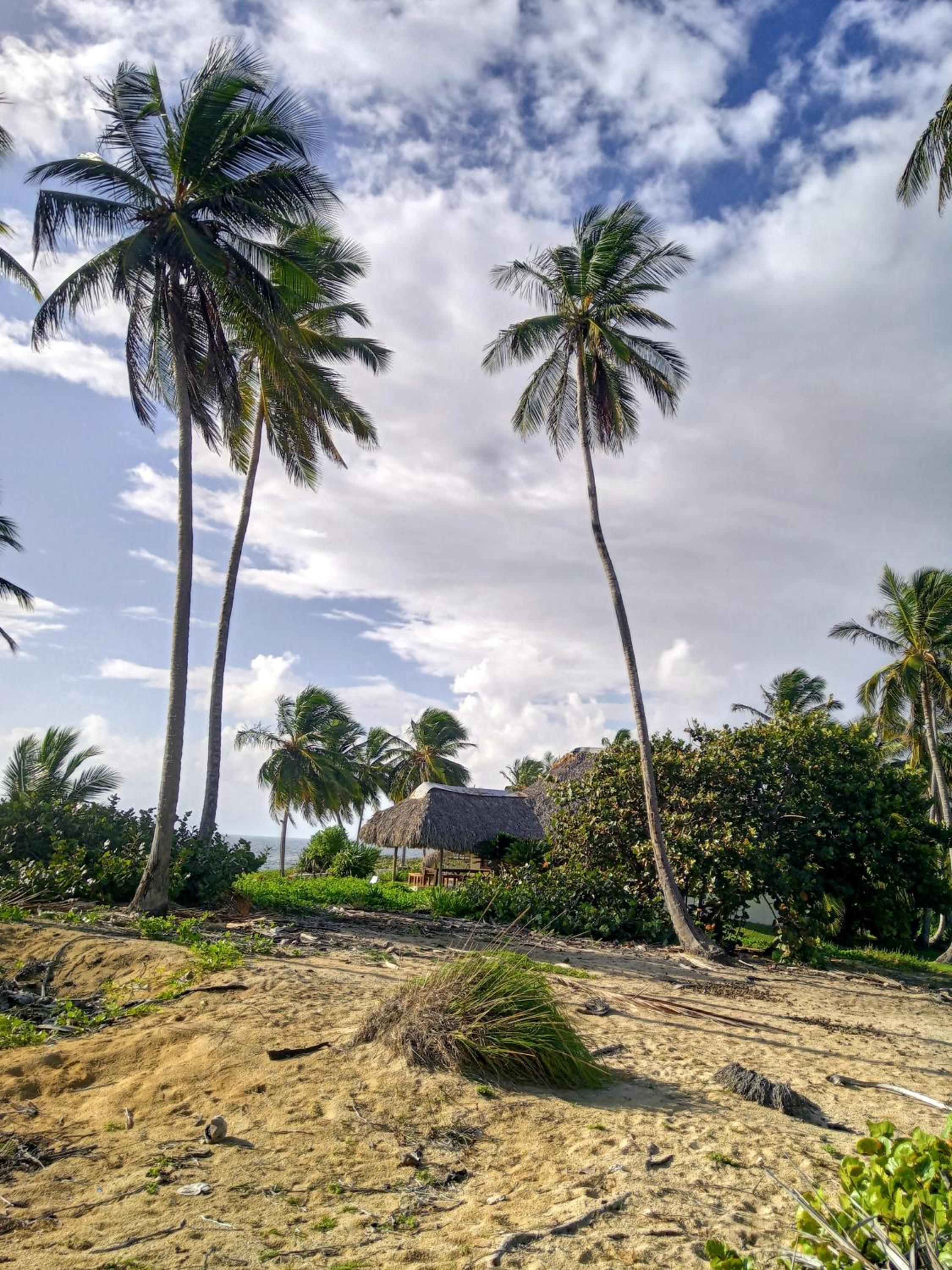 Villa Punta Coral