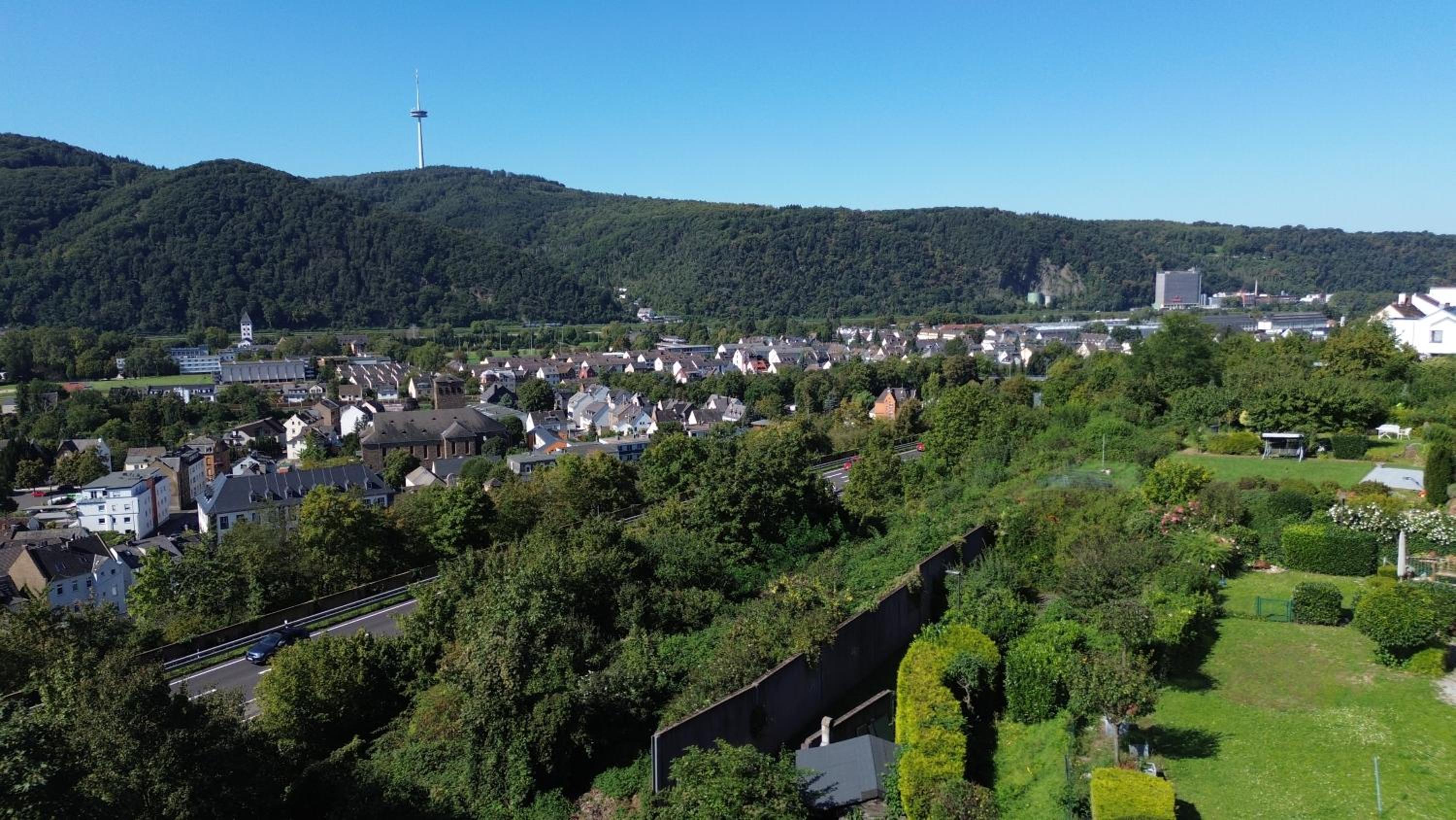 Ferienwohnung Rhein-Panorama