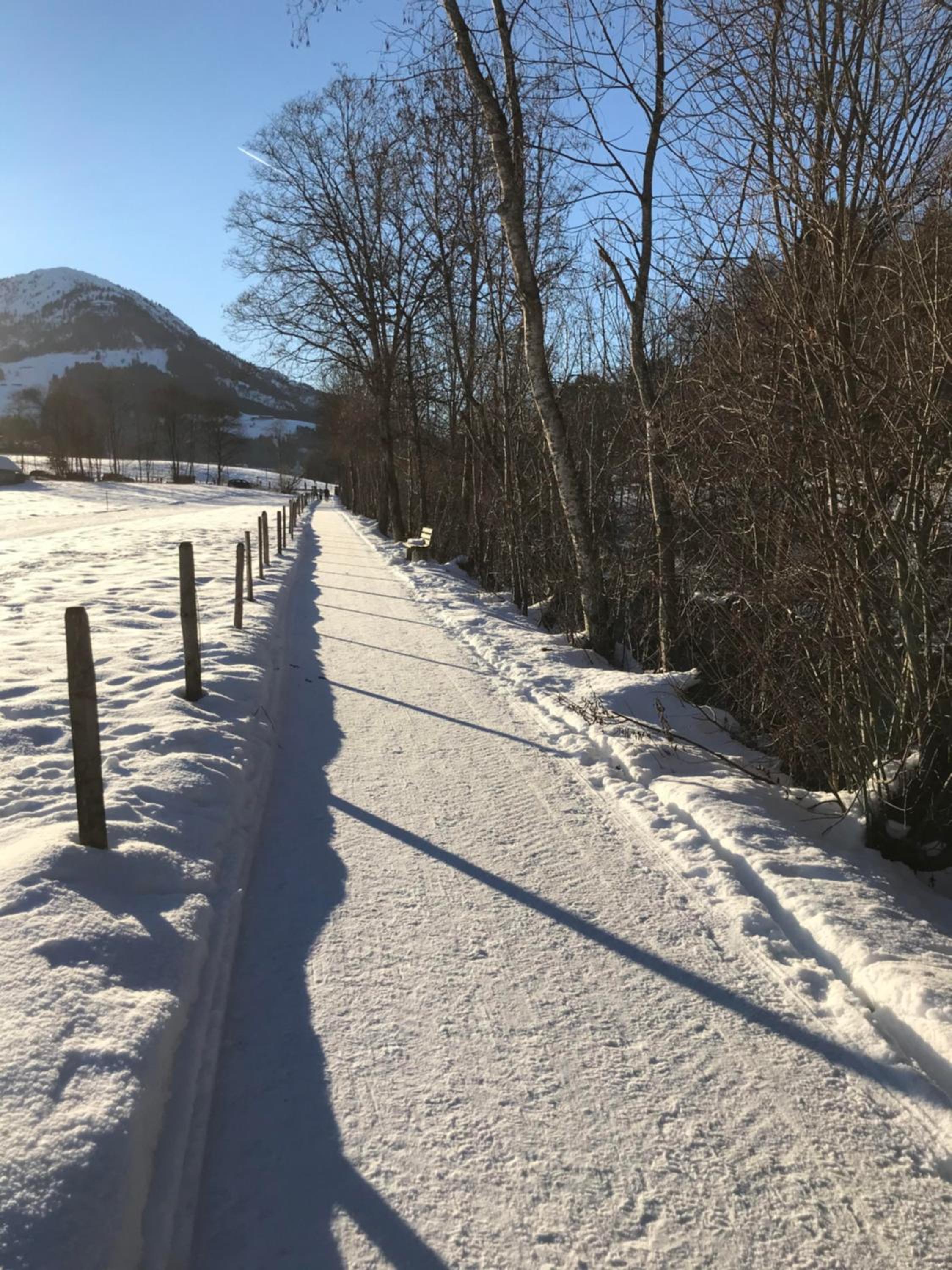 Fleckalm Chalets