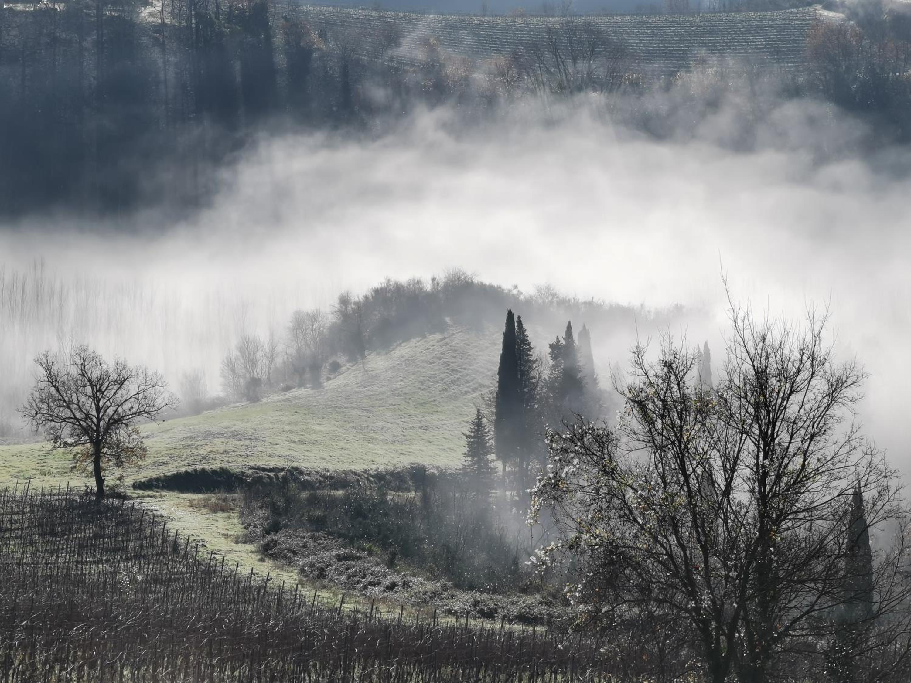 Agriturismo Bio Fattoria Bacio view 4