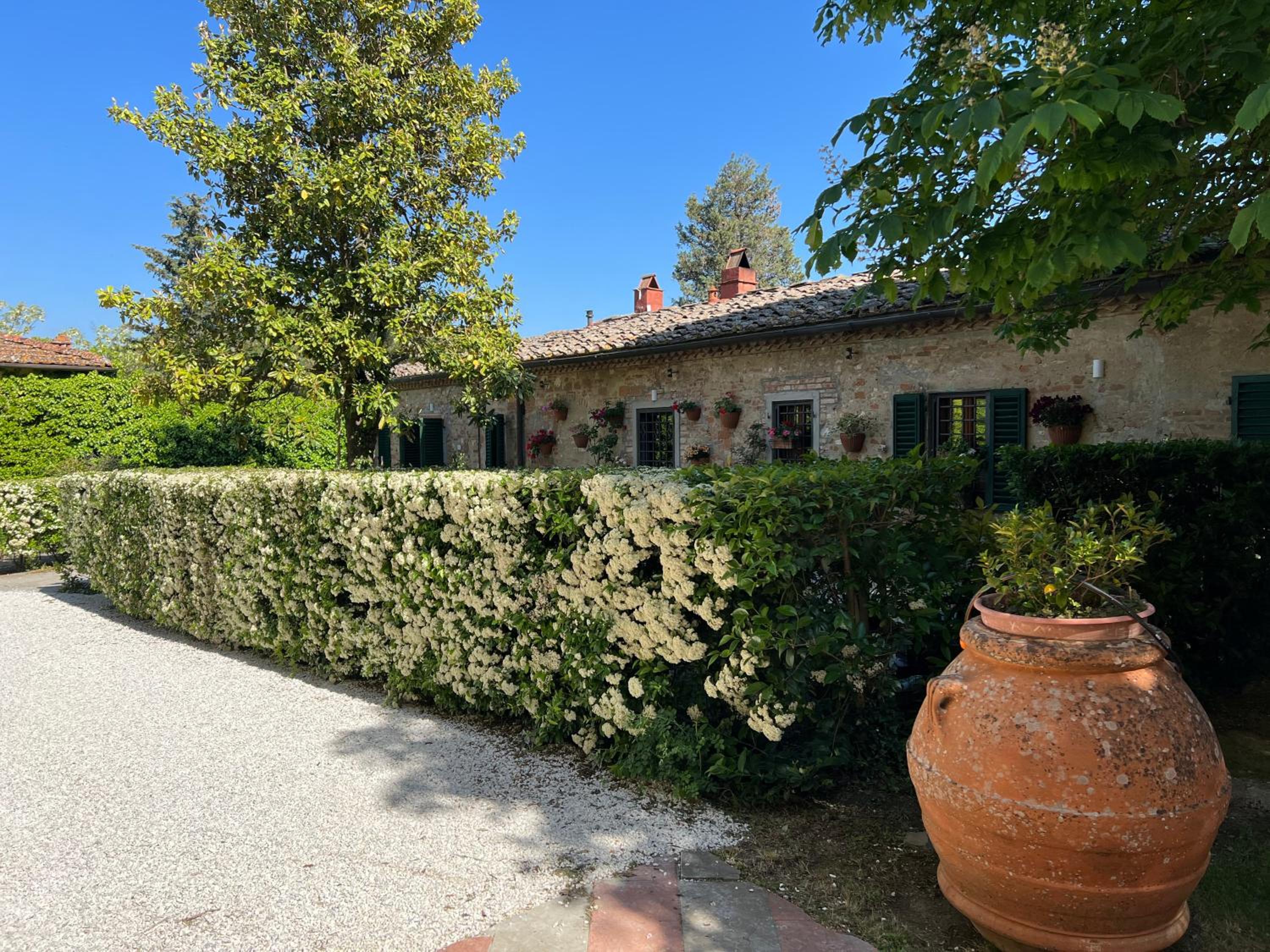 Agriturismo Bio Fattoria Bacio view 3