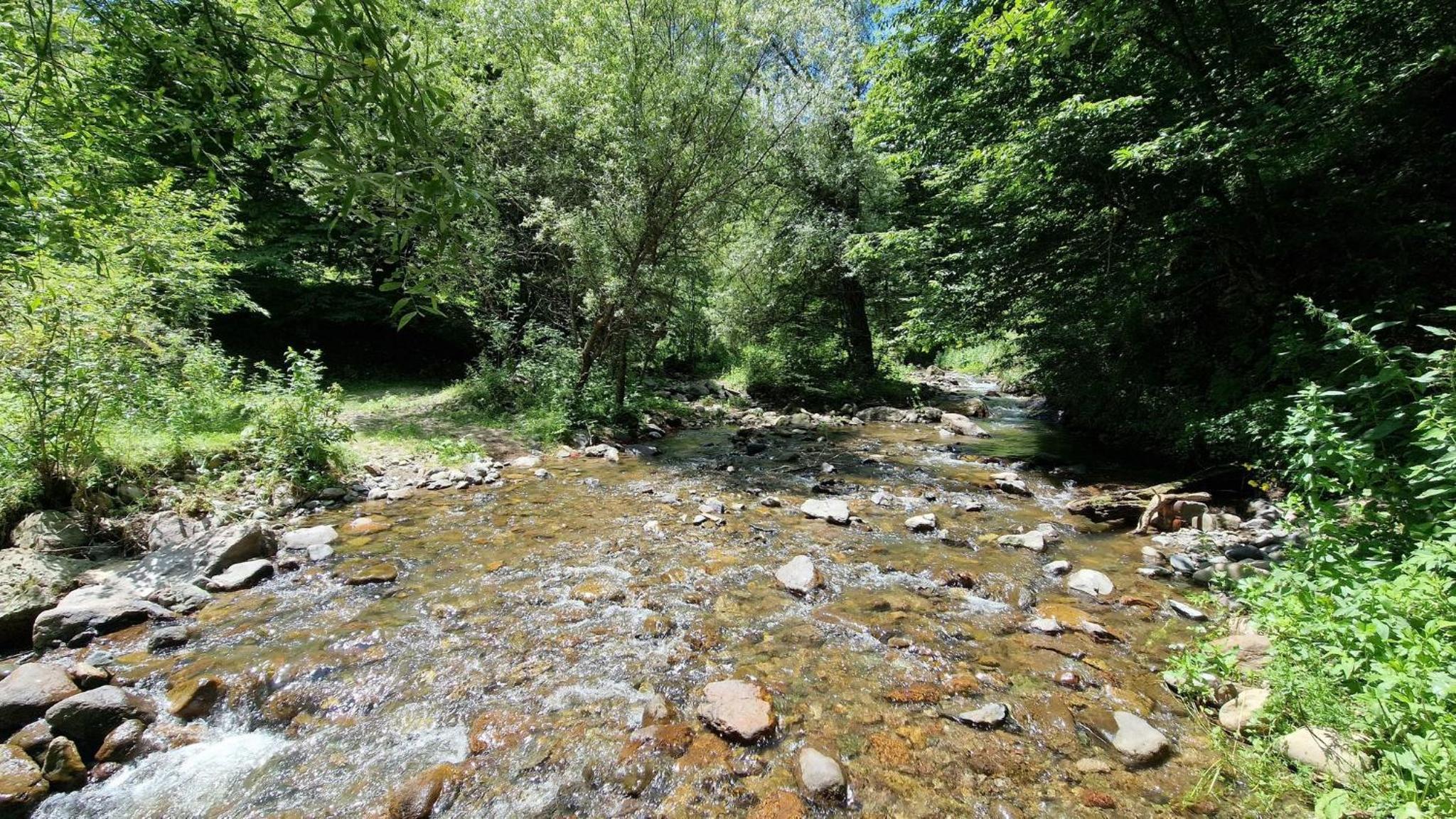 Apartment in Dilijan city