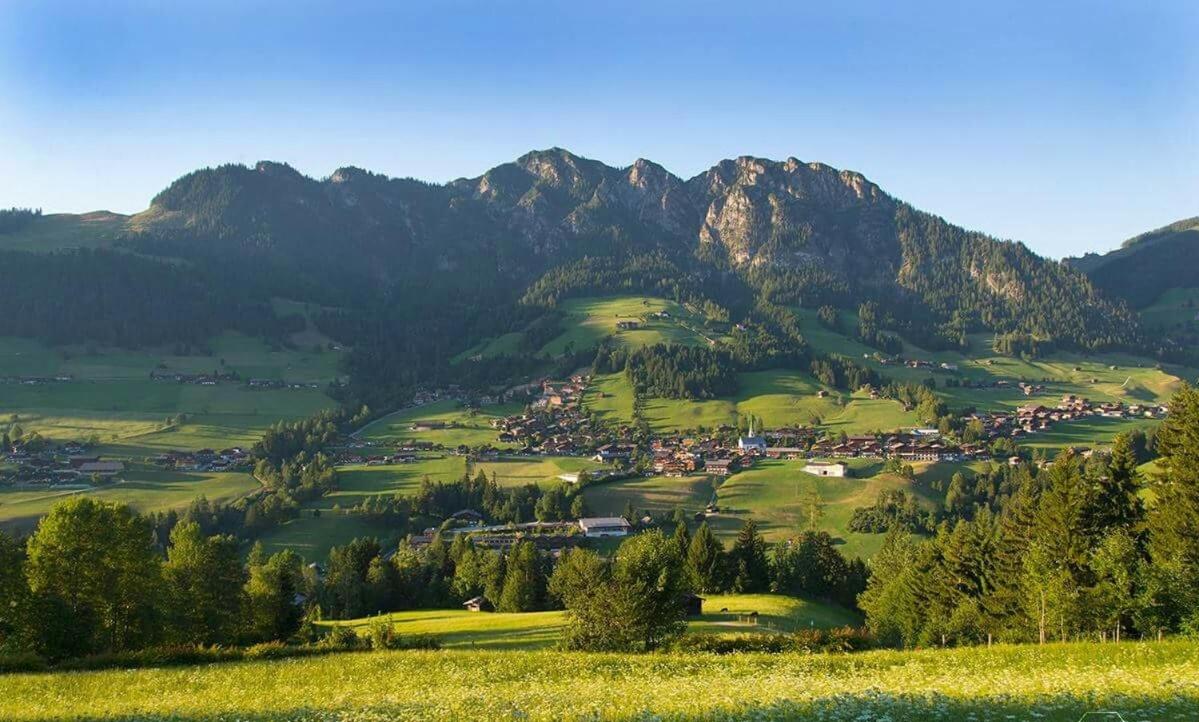 Alpbachblick