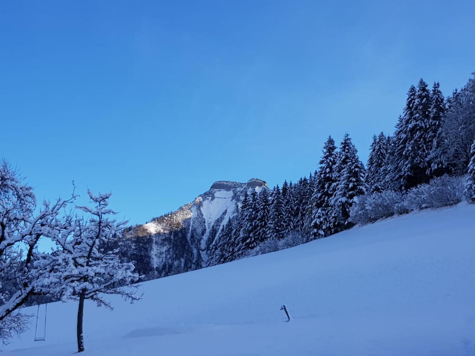 Reithütte