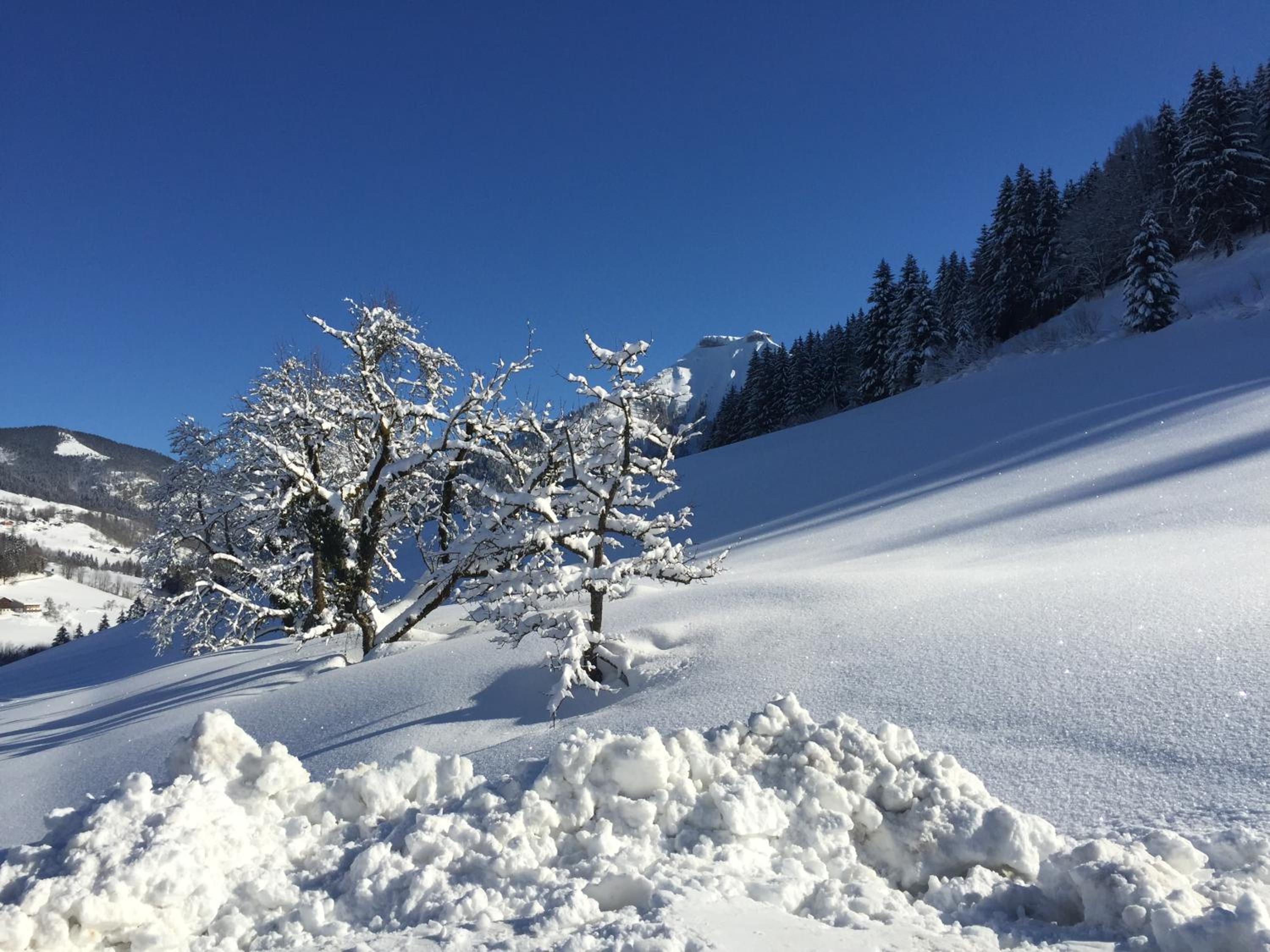 Reithütte