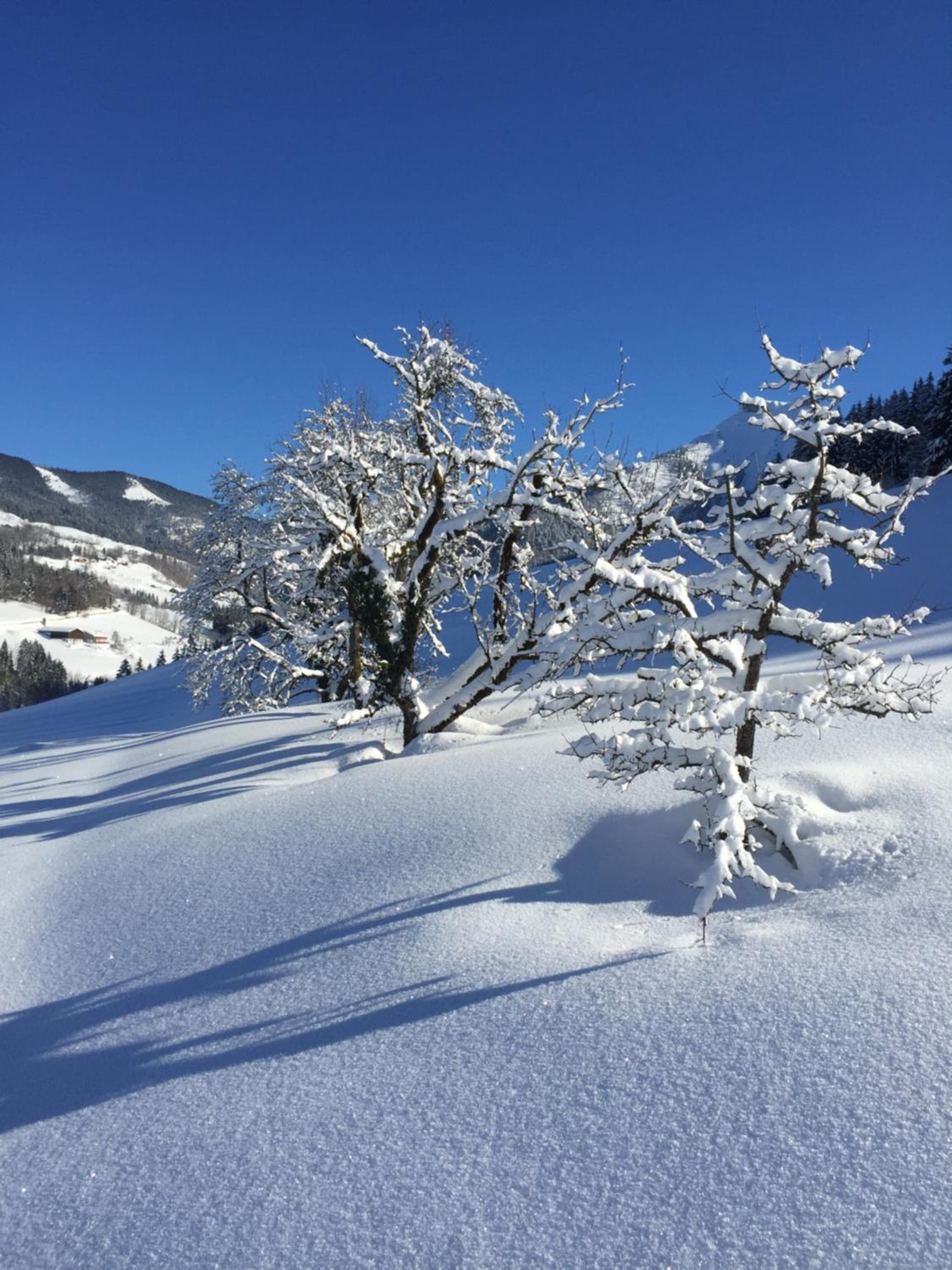 Reithütte