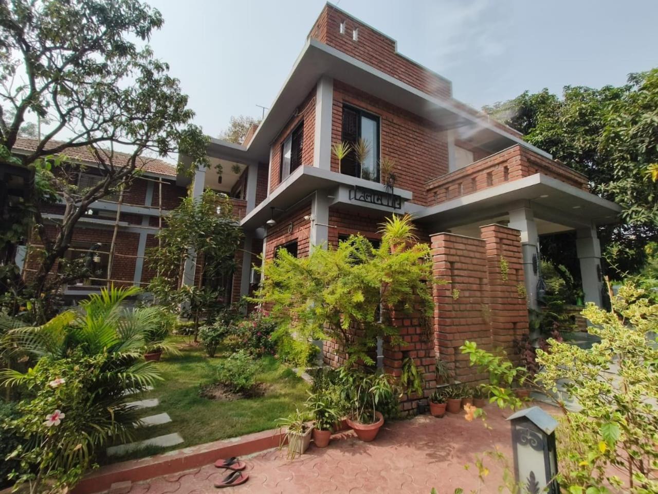 Elim-A Sedate Nest view 3