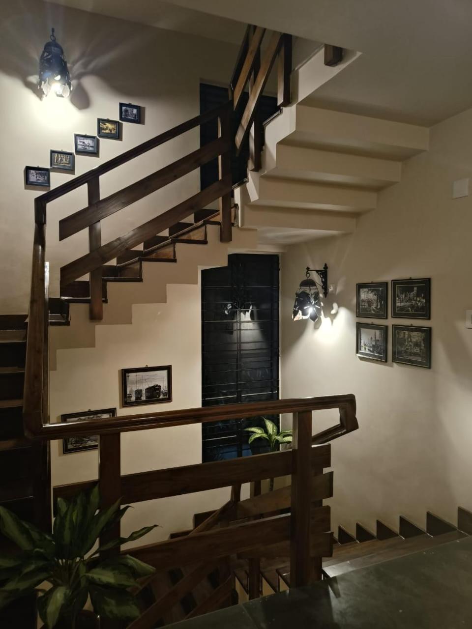 Elim-A Sedate Nest view 4
