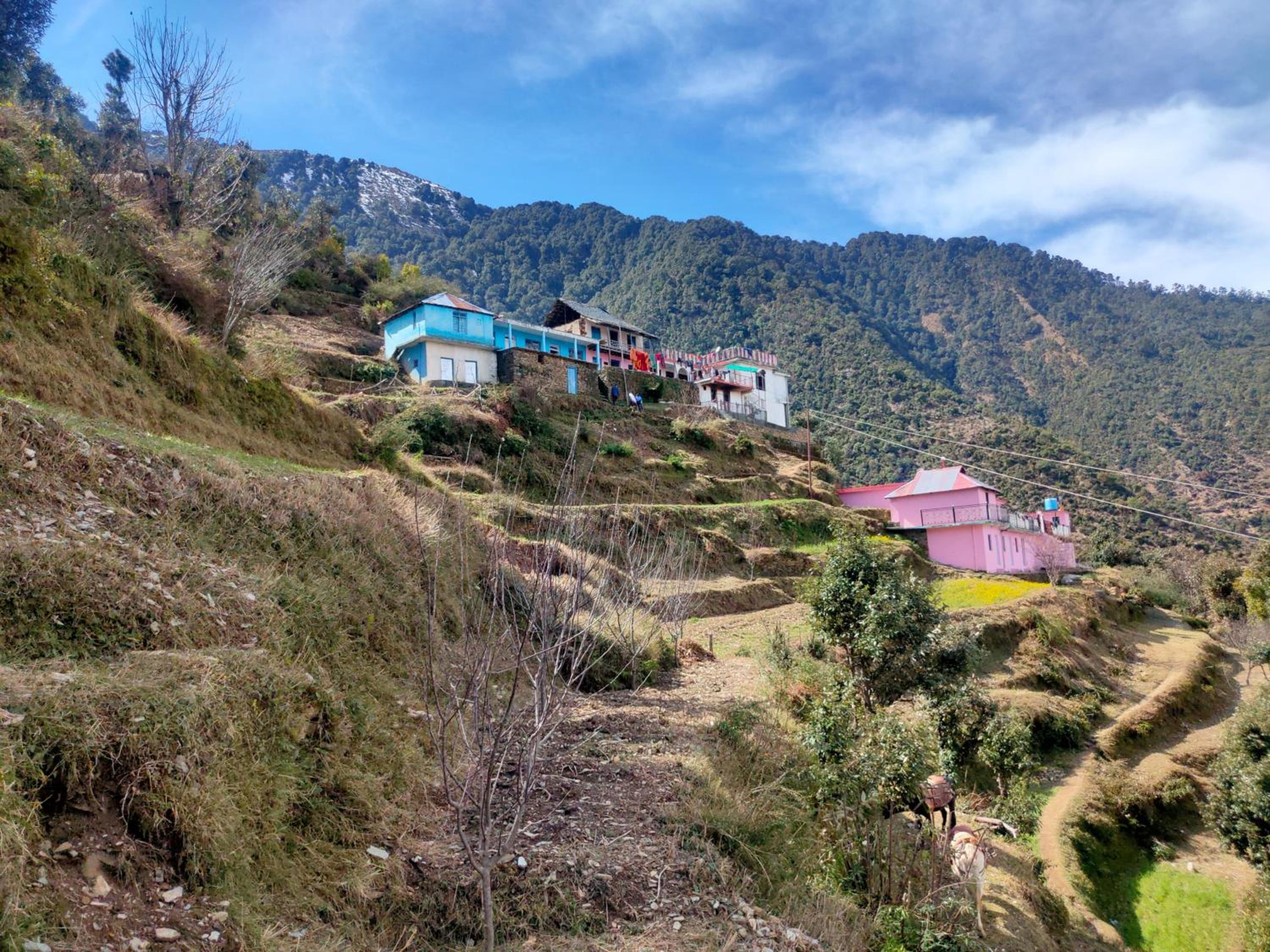 The Pinelamp Homestay Kalwah Valley view 2