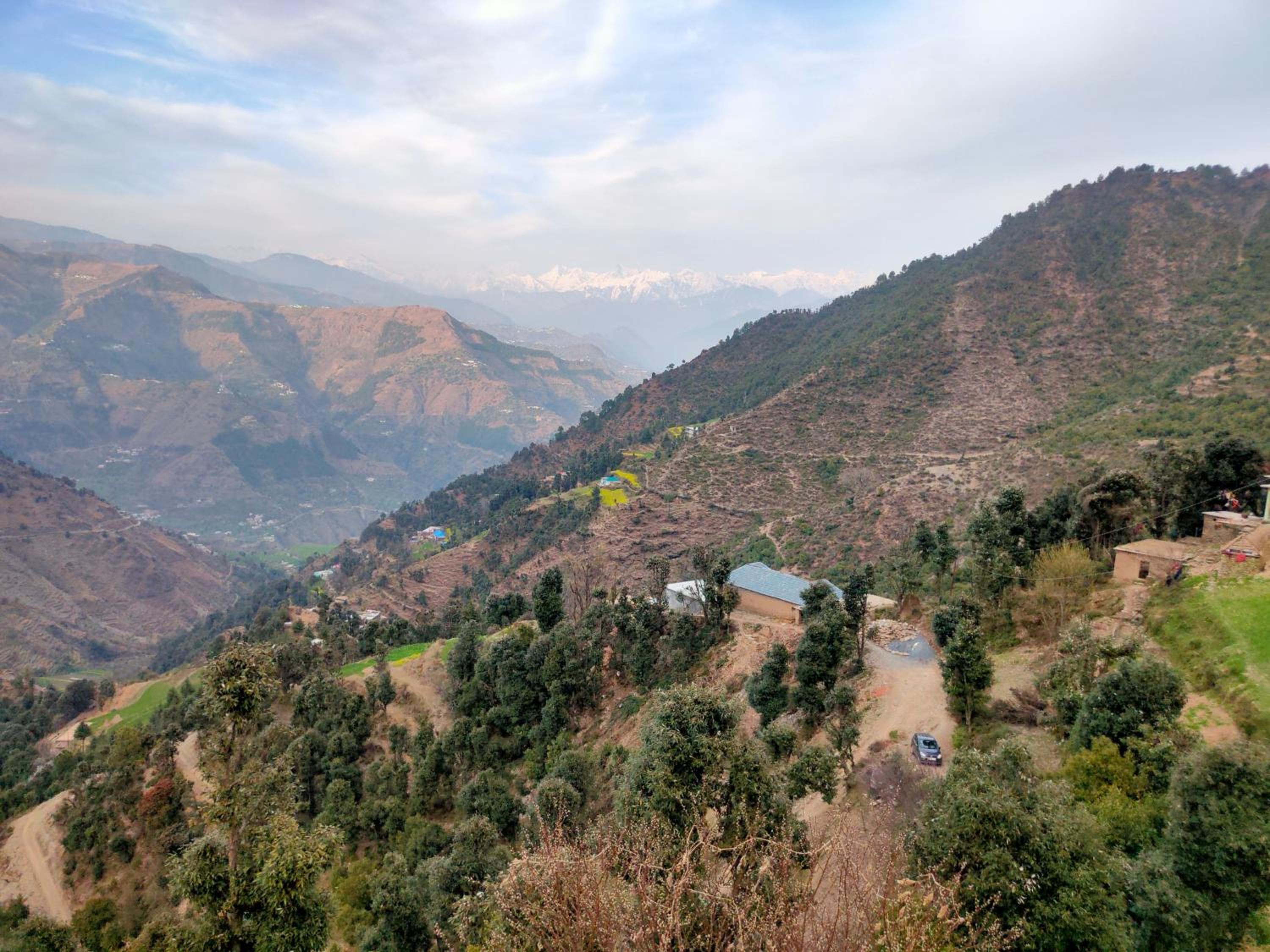 The Pinelamp Homestay Kalwah Valley view 3