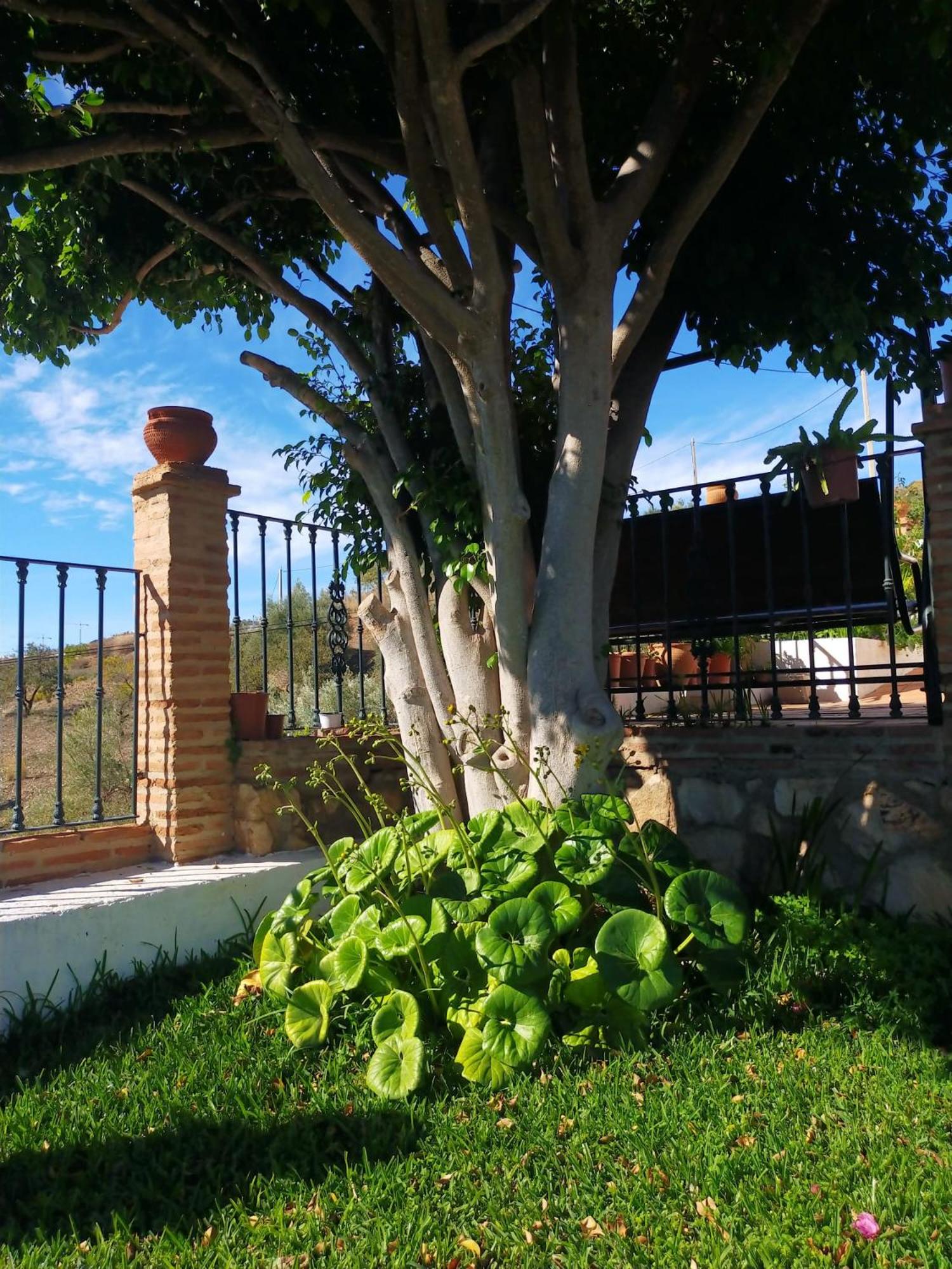 Paraje El Pozo