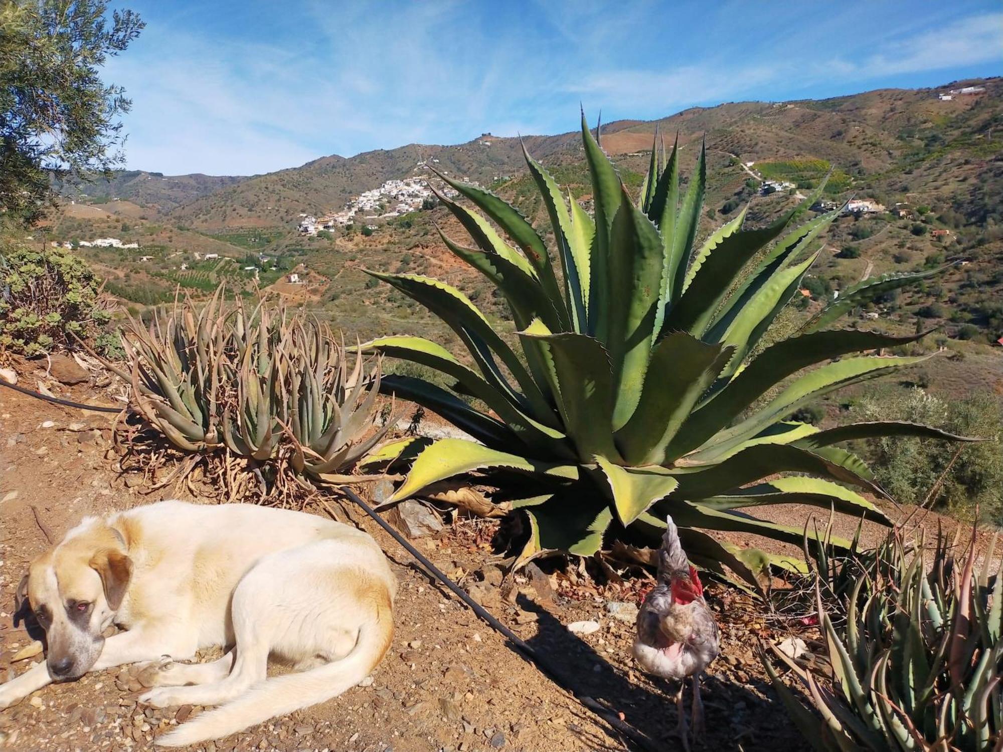 Paraje El Pozo
