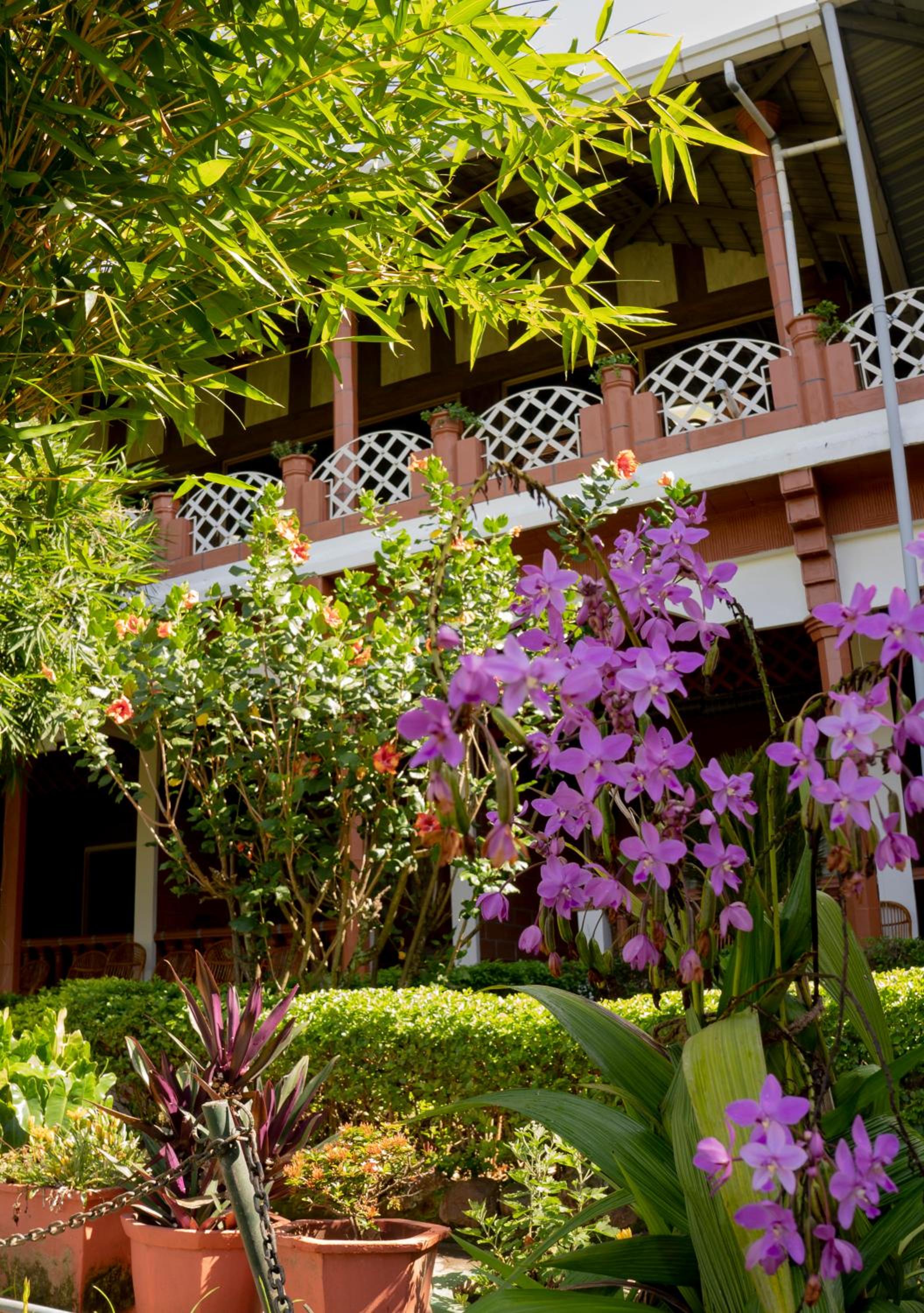 The Nest Inn Resort