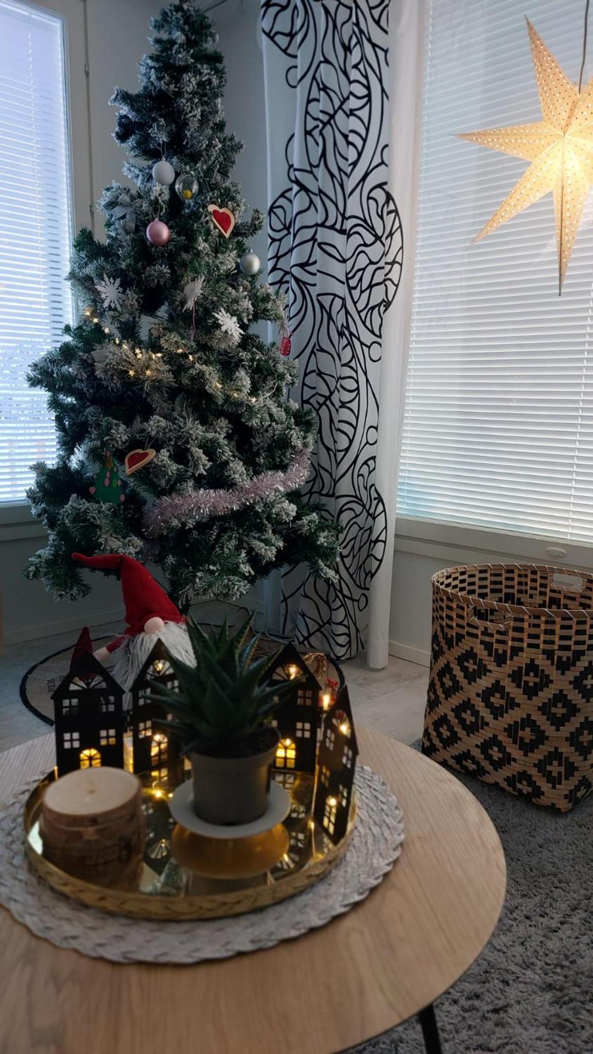 Nordic Style Home, 80m2, 2 bedroom, Wi-Fi, Sauna, Free parking view 5