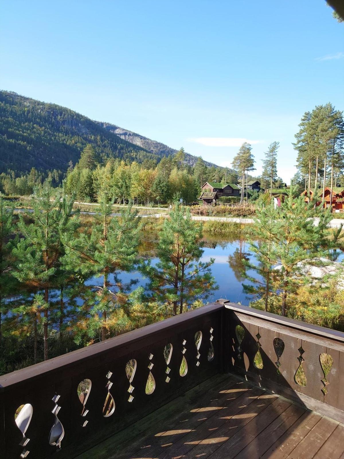 Cozy cabin with great view and immediate proximity to the ski resort and swimming area view 5