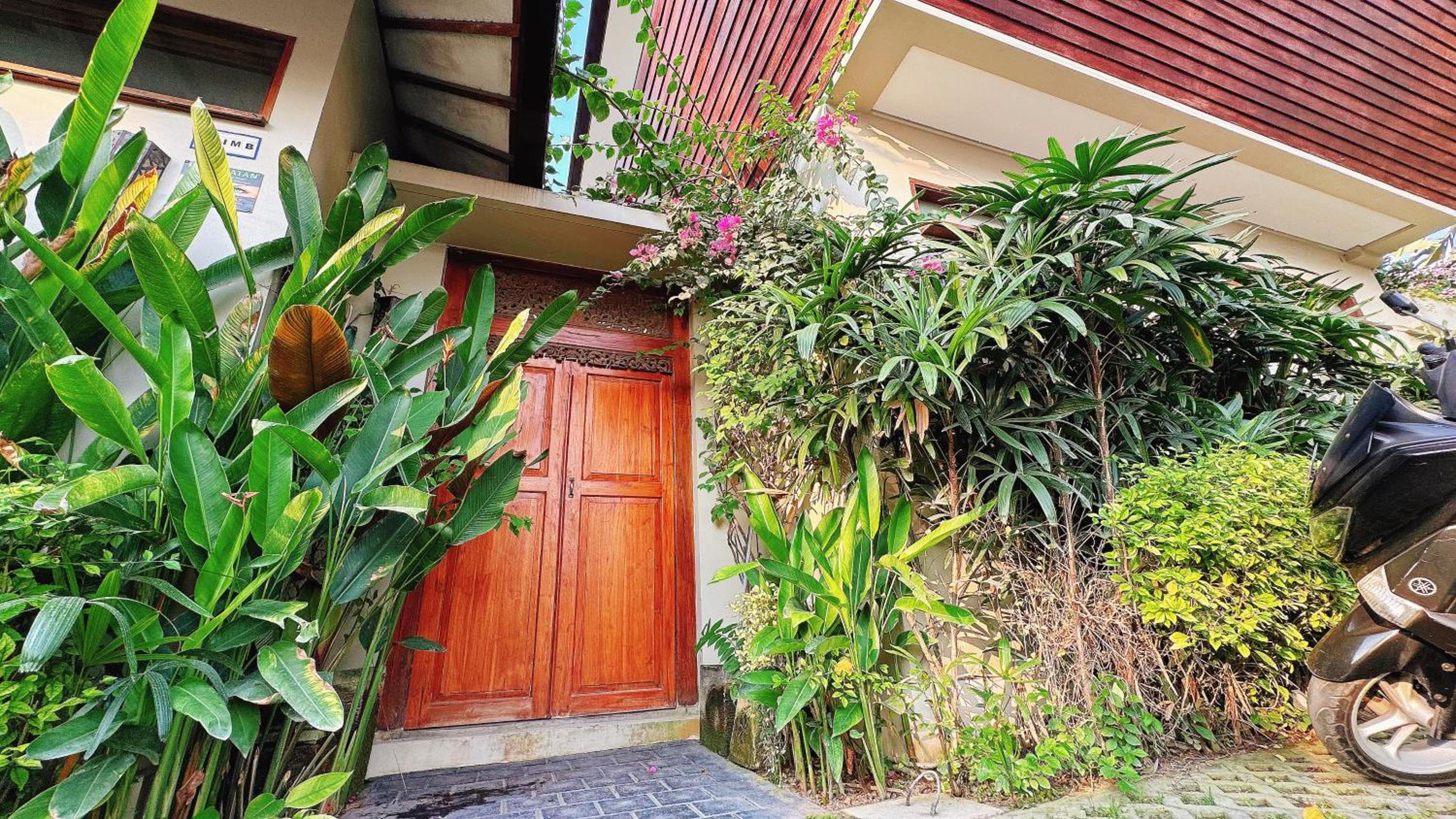 Hotel Villa Ark 003 (fatty Lion )