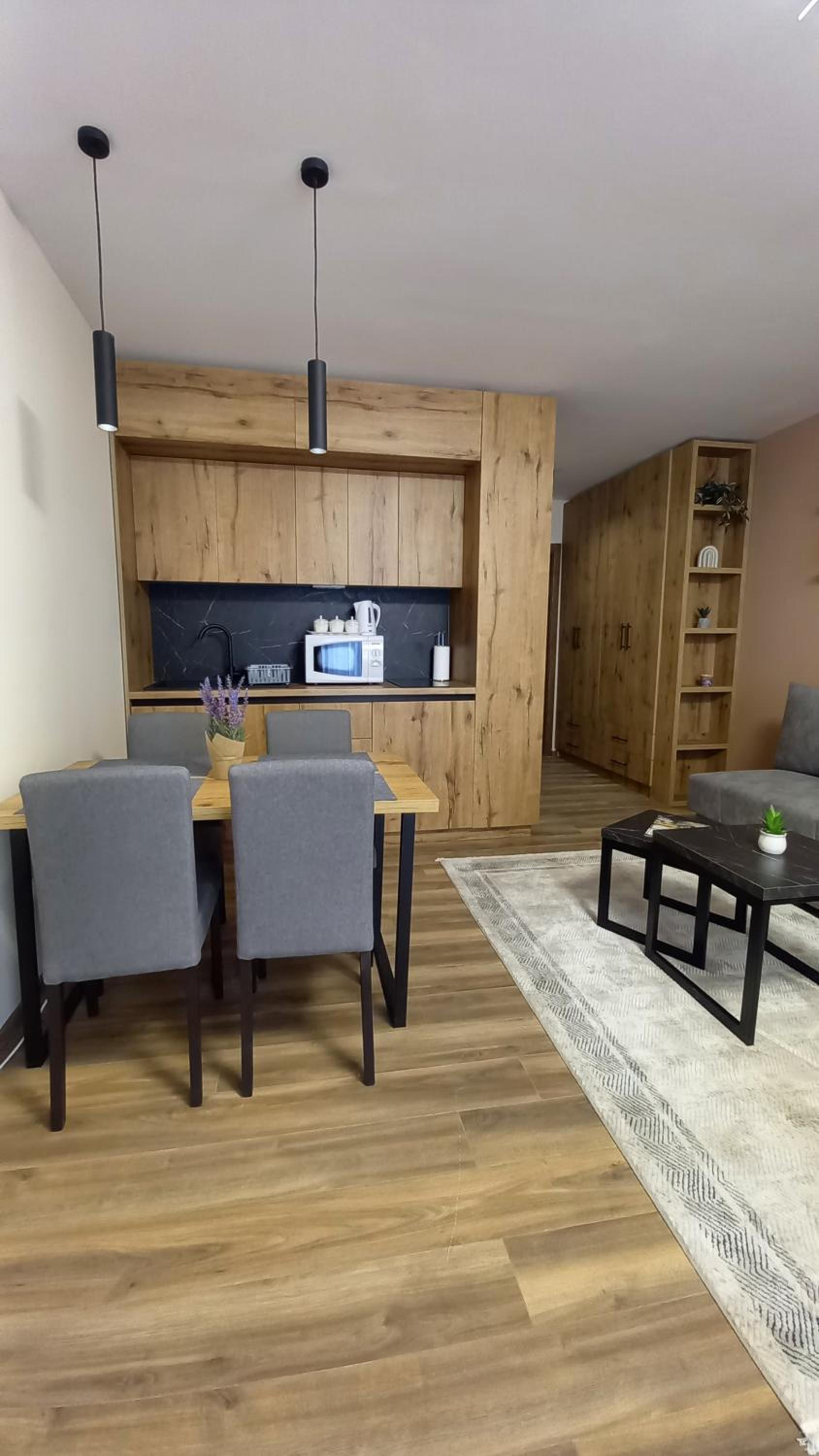 Apartman MK Kopaonik view 5