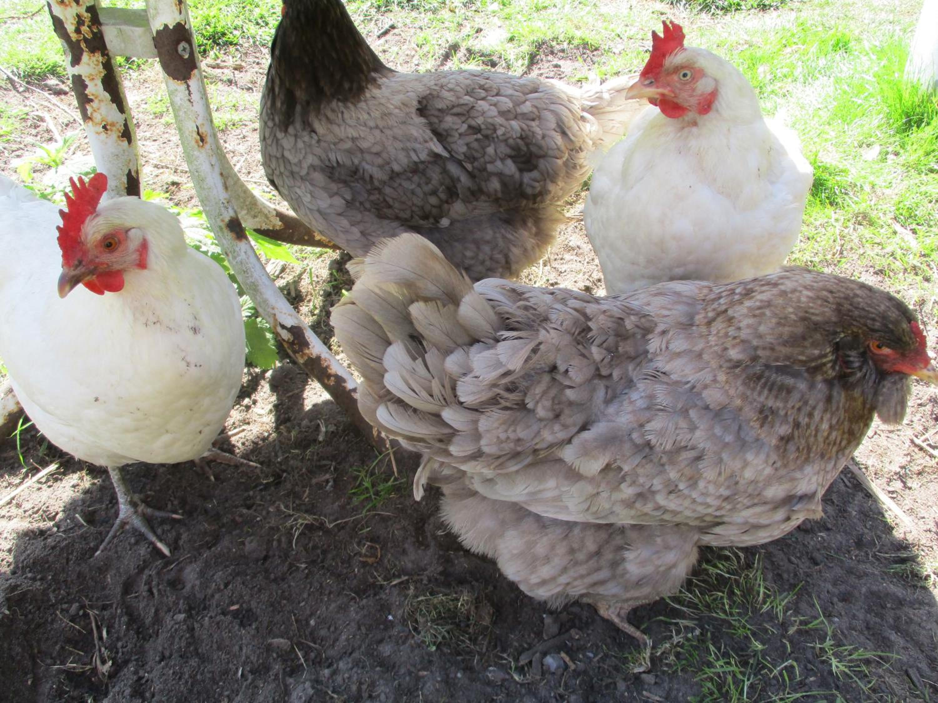 other
