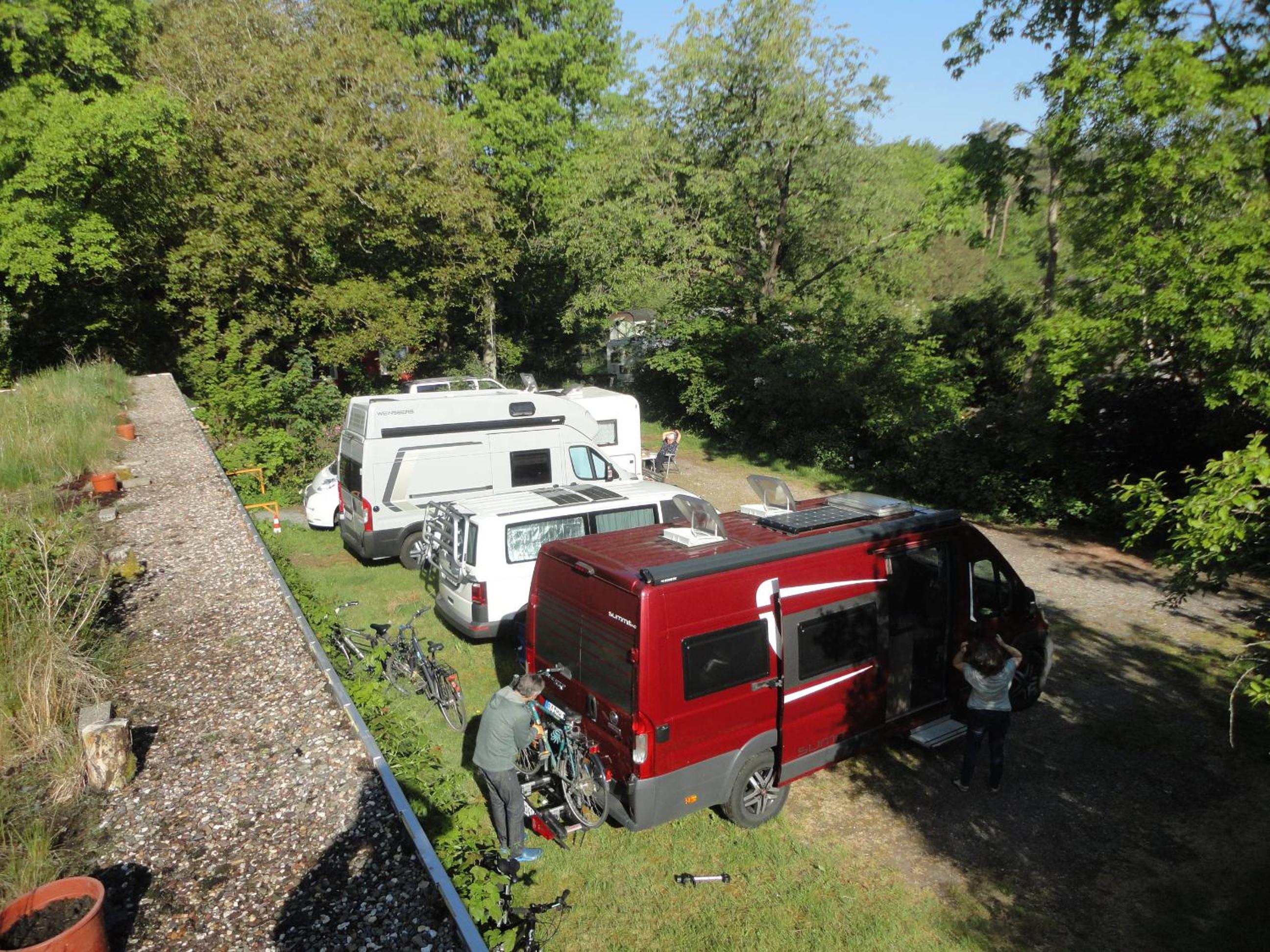 Sonnige Wohnung im Waldgebiet