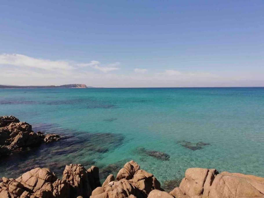 Appartamento vista mare - Stella Marina