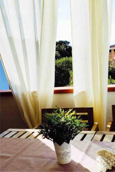 Appartamento vista mare - Stella Marina