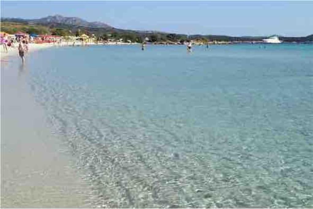 Appartamento vista mare - Stella Marina